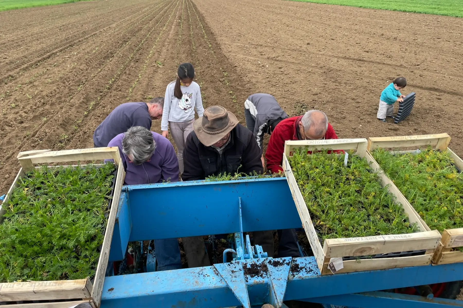 Ecoferme des mille et une feuilles