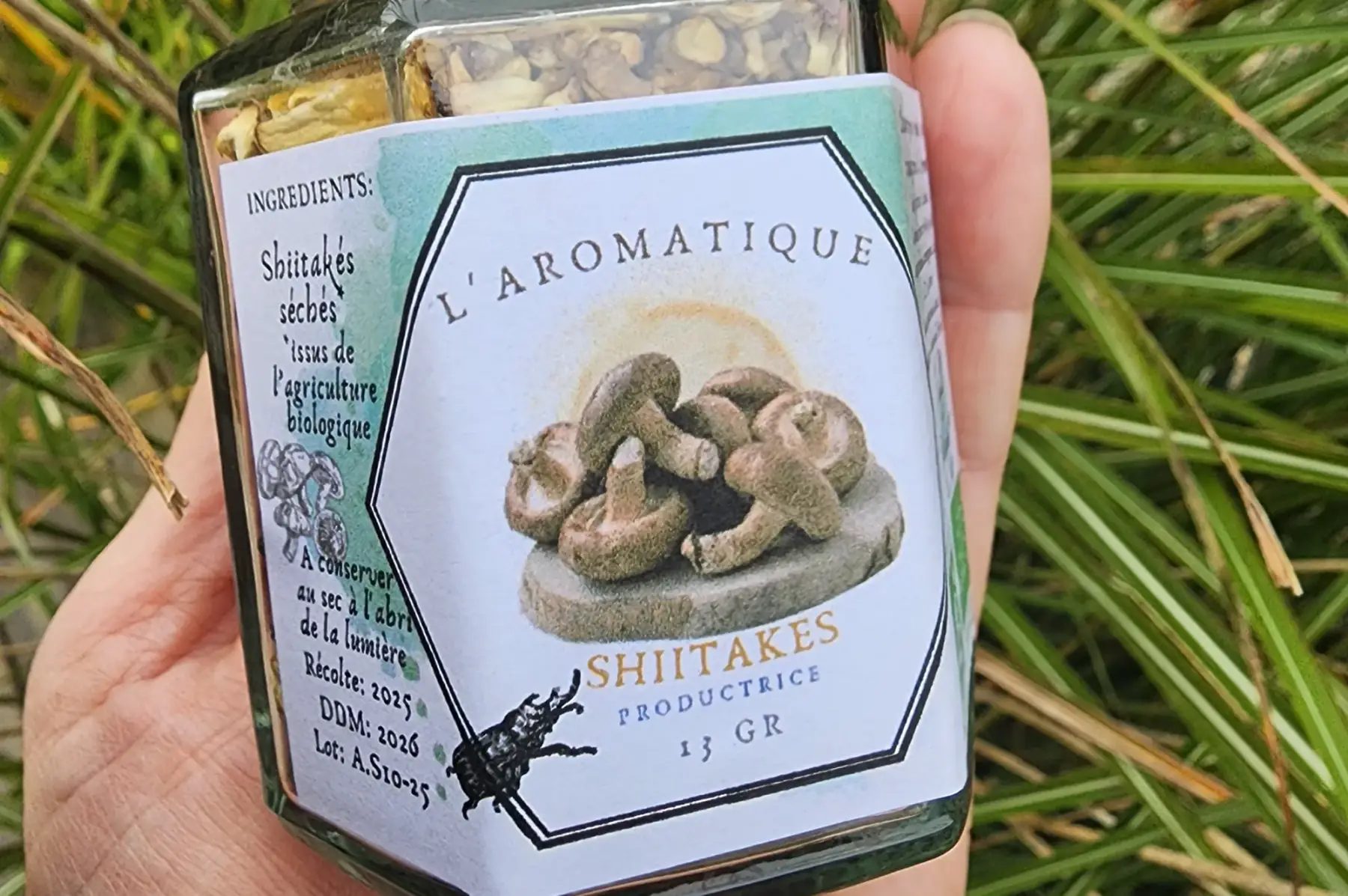 Aromatique- Shiitake