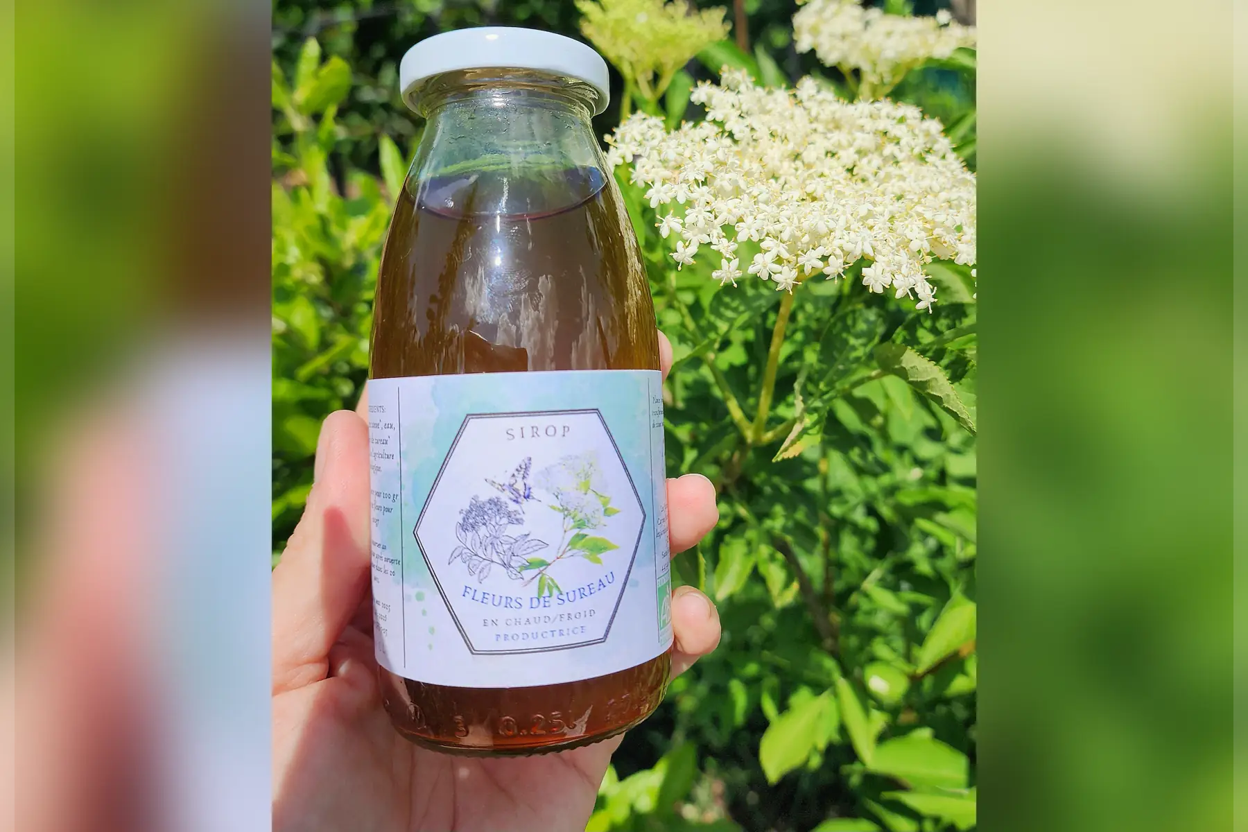 Sirop Fleurs de Sureau     25 cl