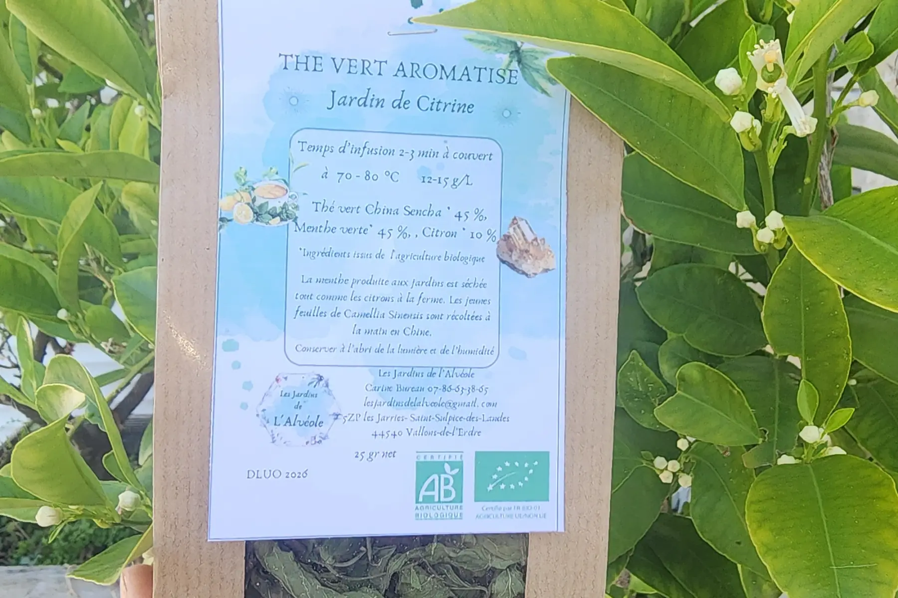 Thé vert aromatisé- Jardin de Citrine