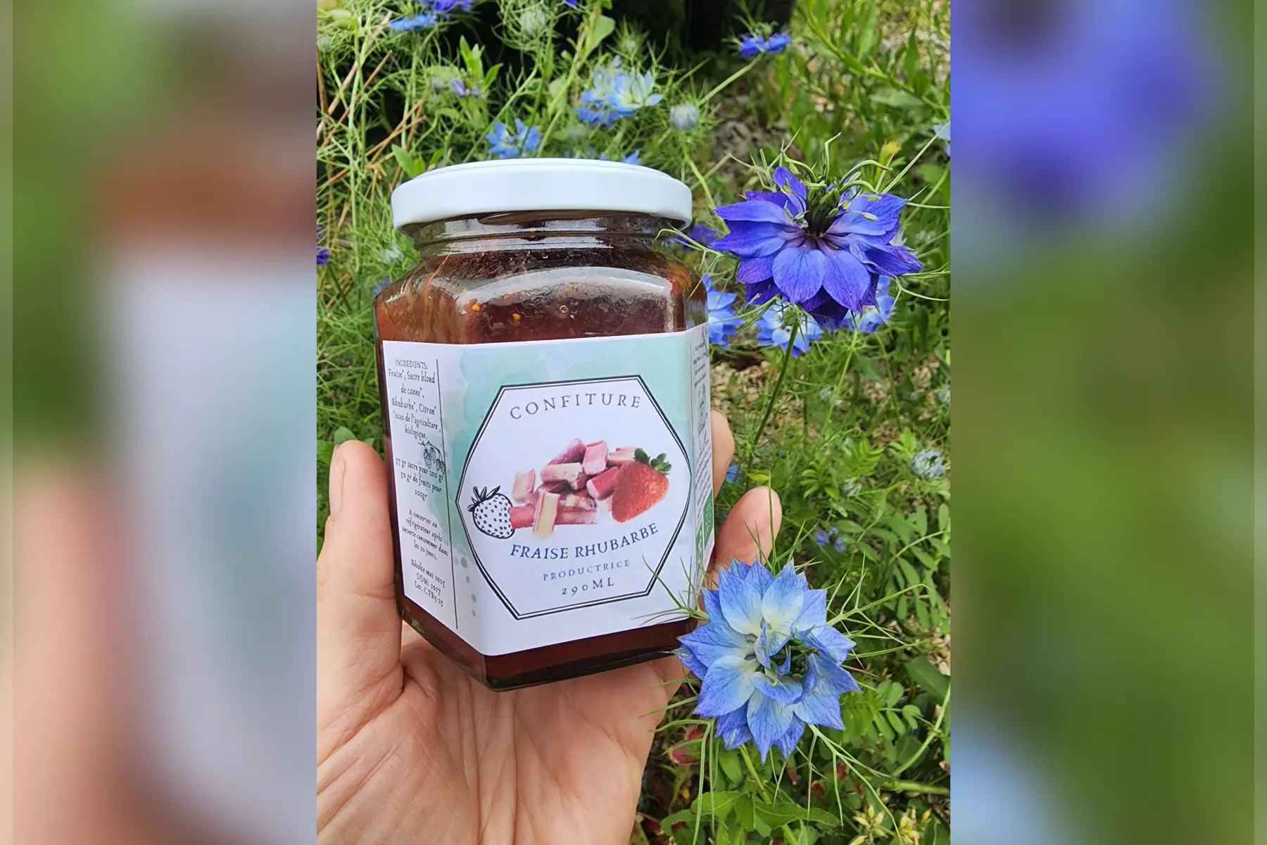 Confiture Fraise Rhubarbe