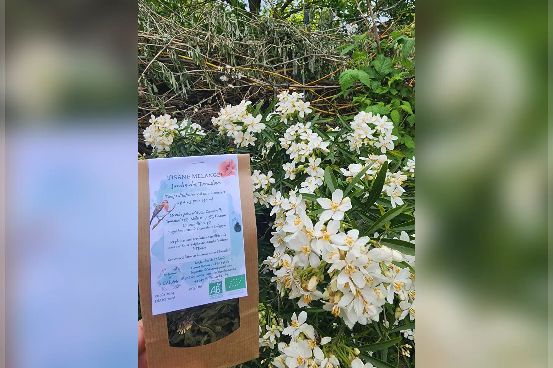 Tisane des Tamalous     25 gr