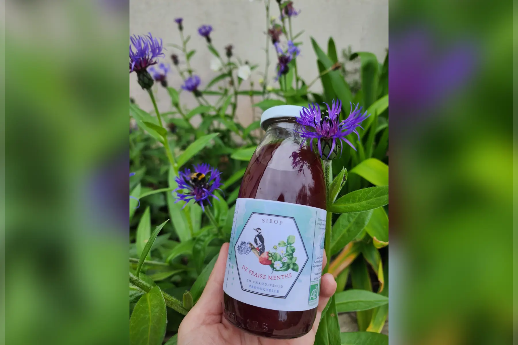 Sirop de Fraise Menthe.       25 cl