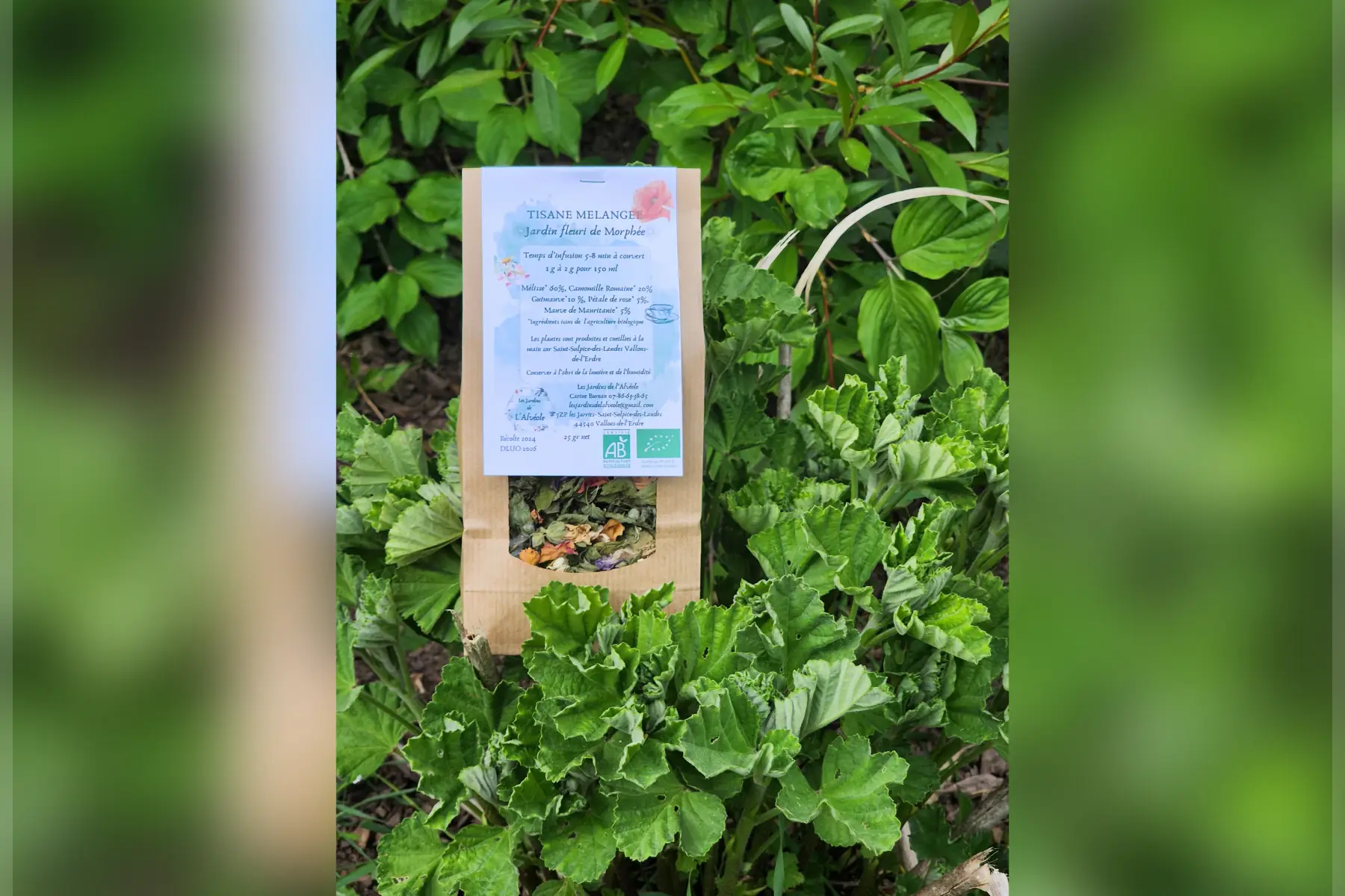 Jardin fleuri de Morphée     25 gr