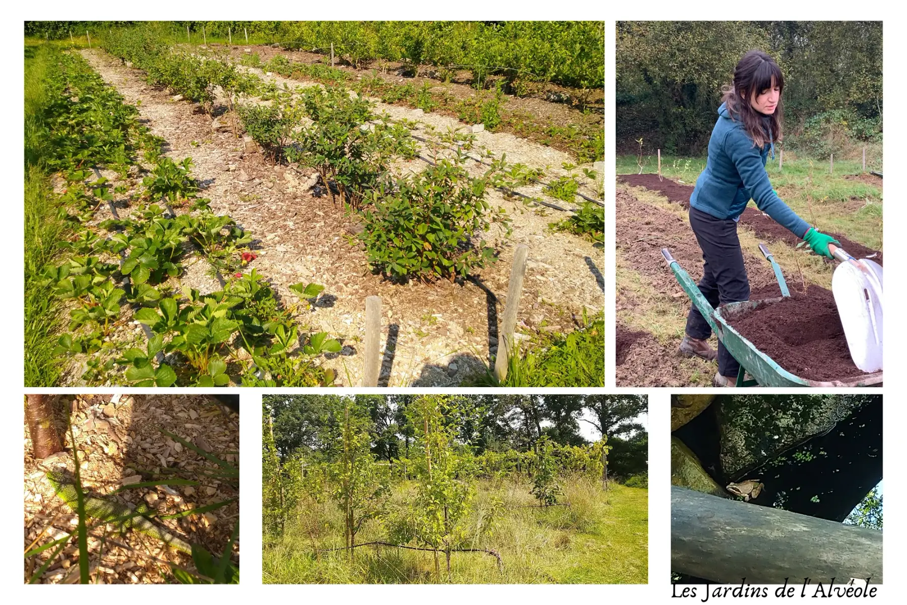 les Jardins de l'Alvéole