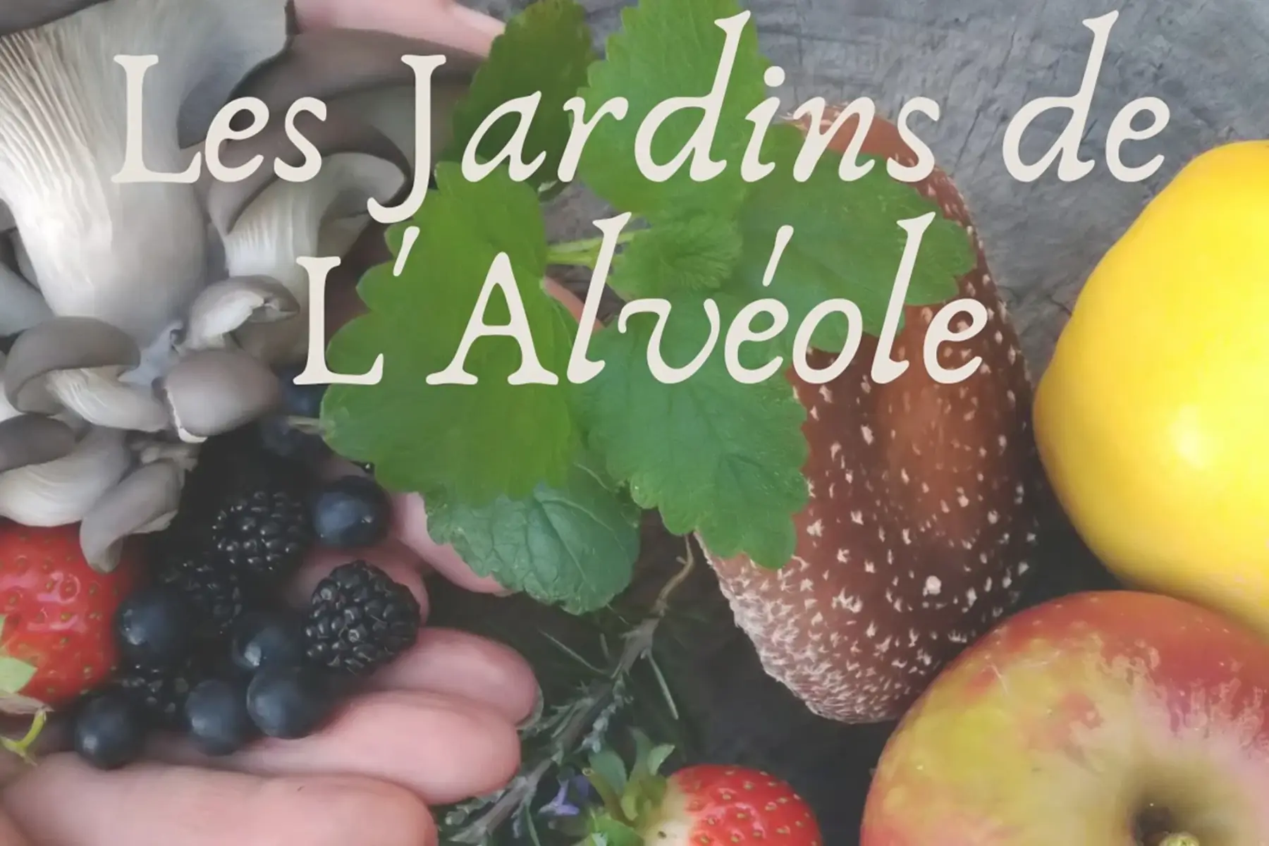 les Jardins de l'Alvéole
