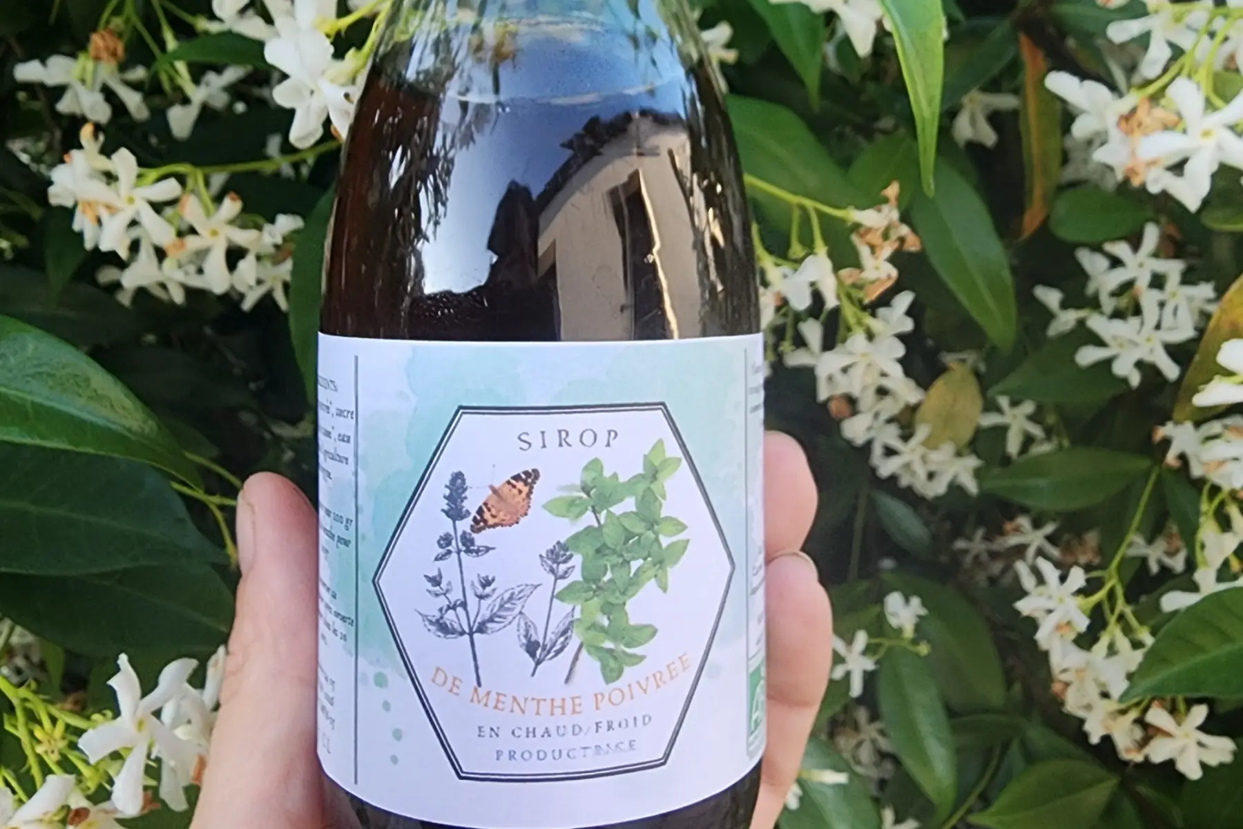 Sirop de Menthe poivrée   25cl