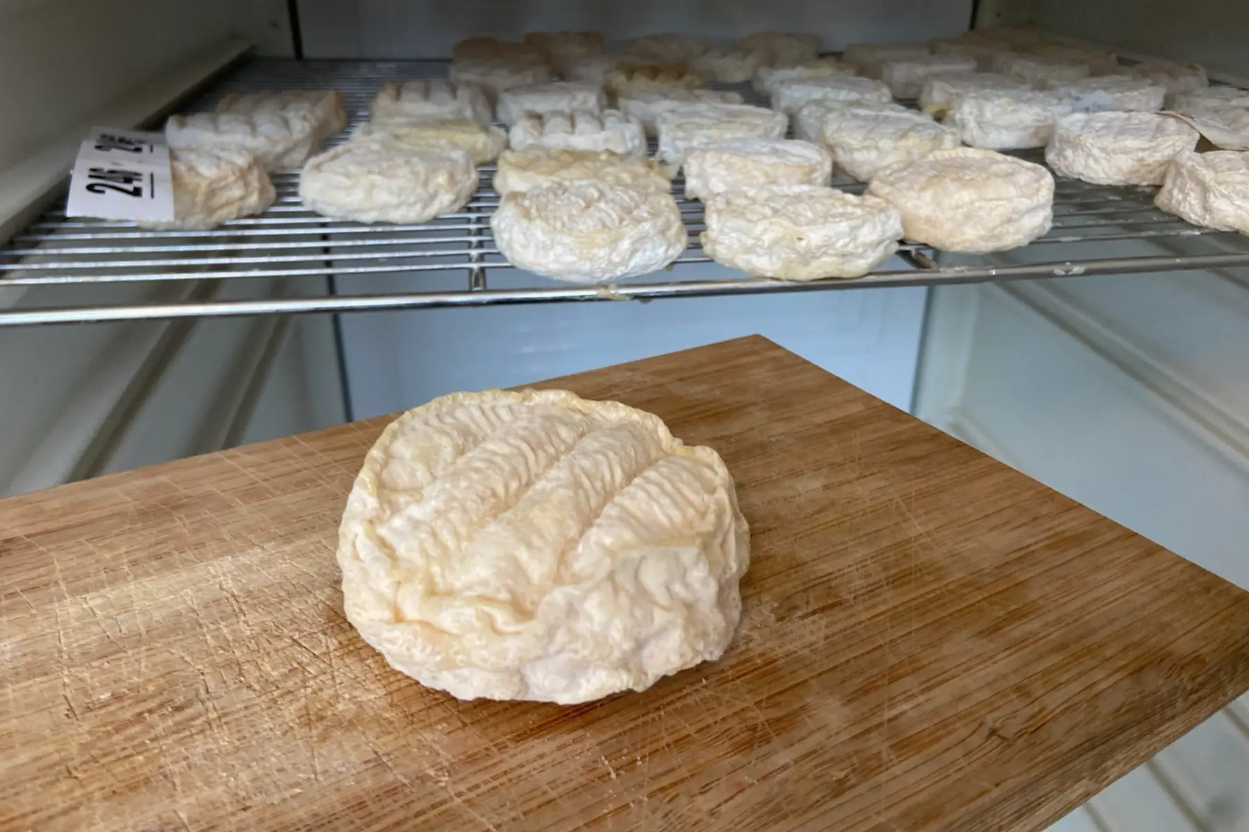 Crottin de chèvre mi-affiné