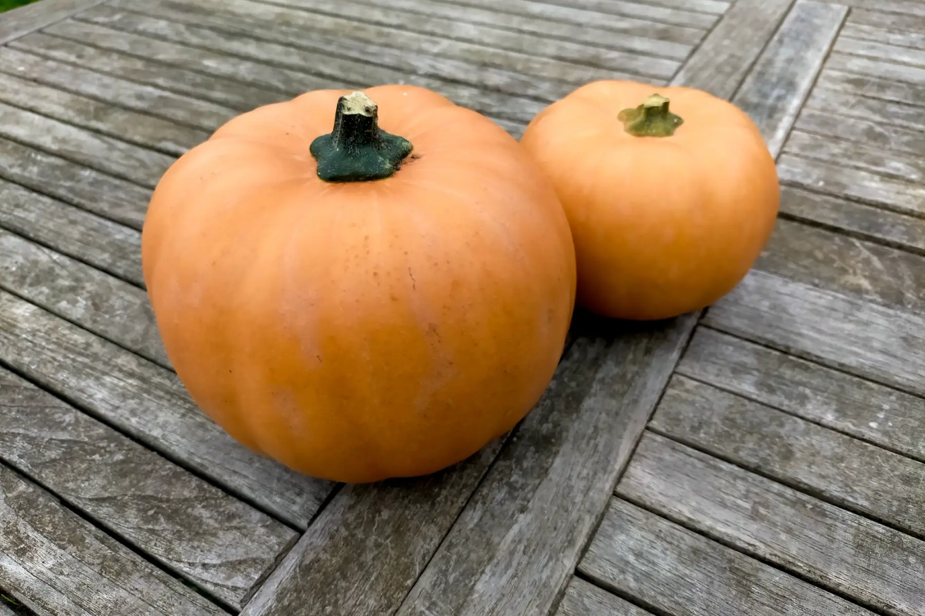 Courge Carat bio 1,7 kg