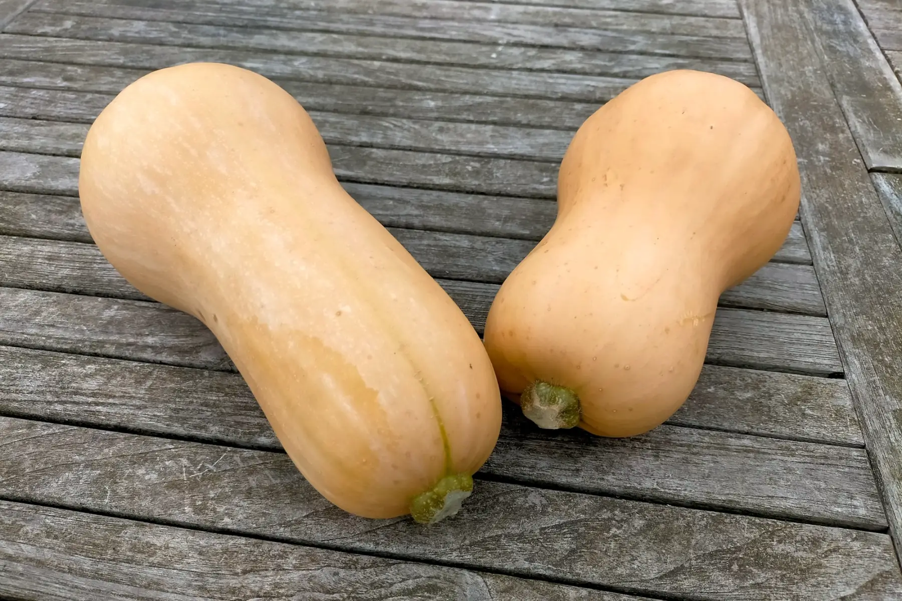 Butternut bio 0,7 kg
