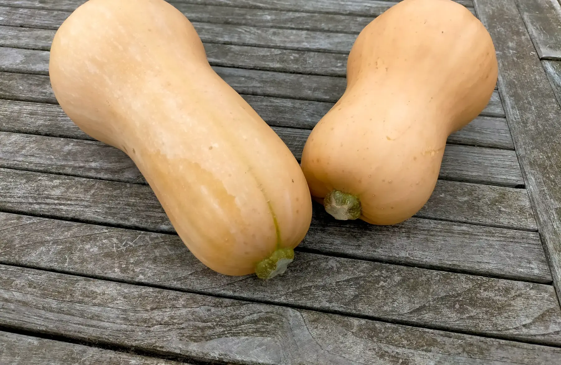 Butternut bio 1 kg