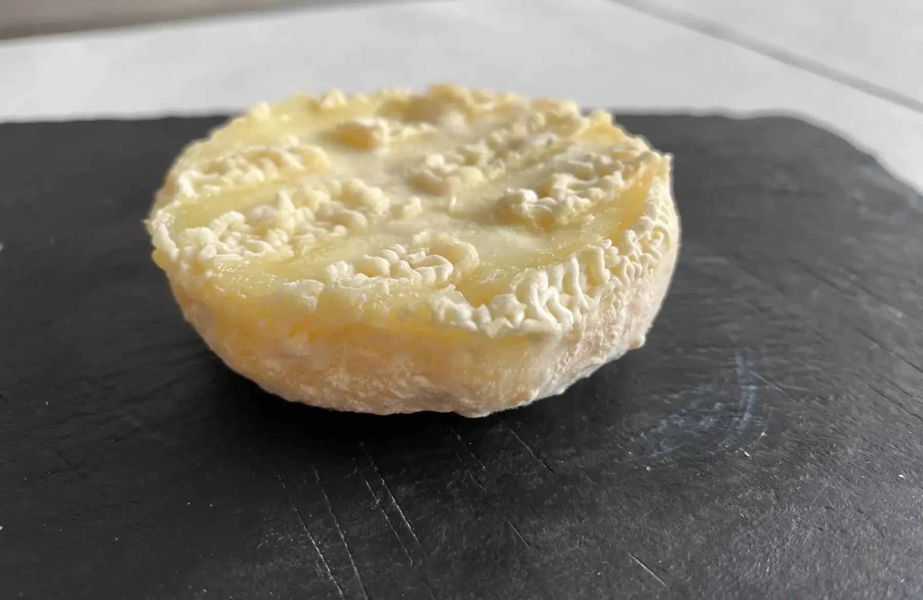 Crottin demi sec au lait de chèvre pasteurisé