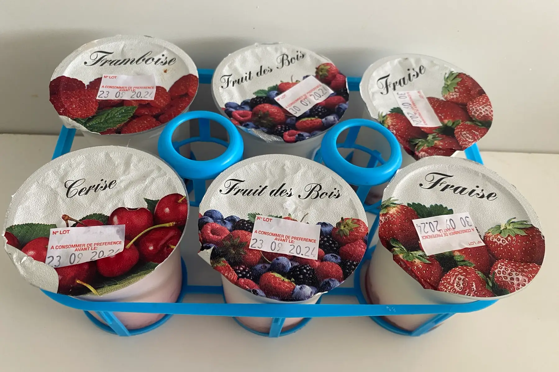 Pack de 6 yaourts de chèvre aux différents fruits rouges
