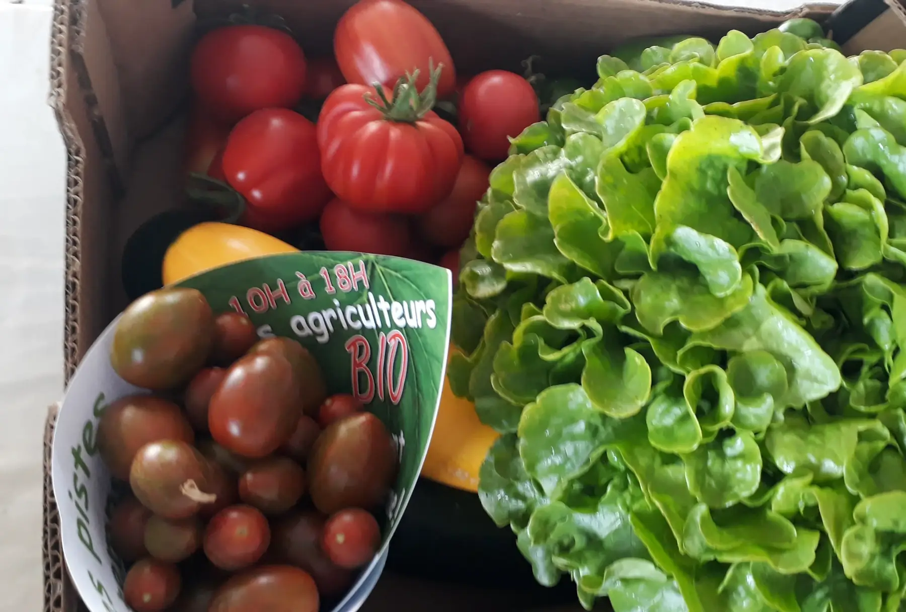 Panier de légumes de saison (2 à 3 parts)