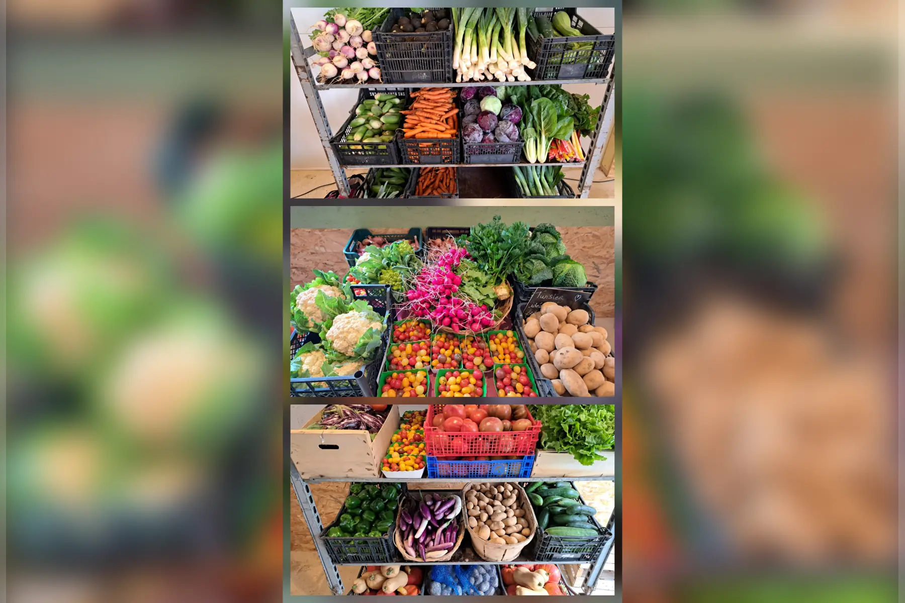 Panier de légumes de saison (4 à 5 parts)