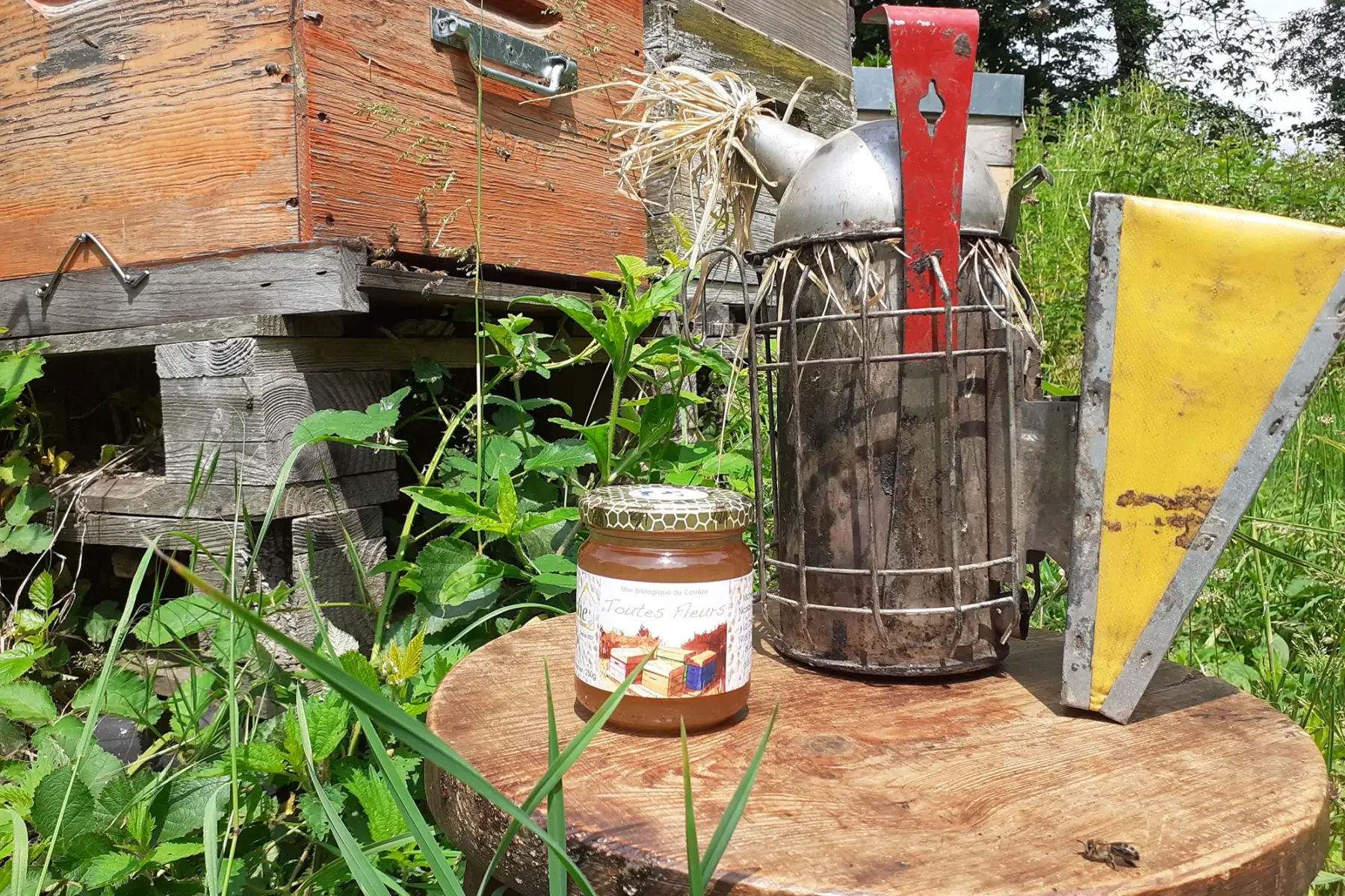 Miel de Toutes Fleurs BIO