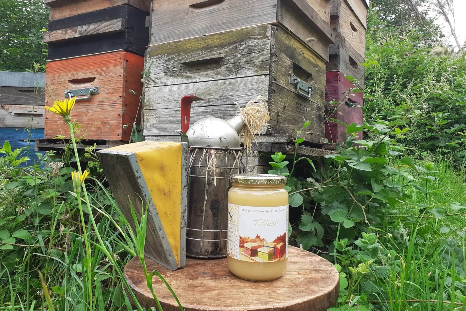Miel de Tilleul BIO