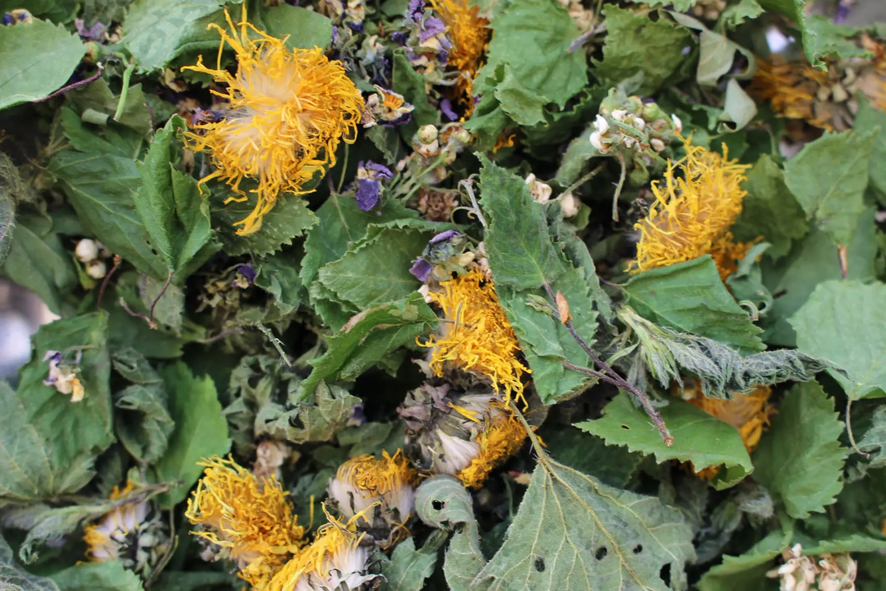 Tisane composée La 4'détox