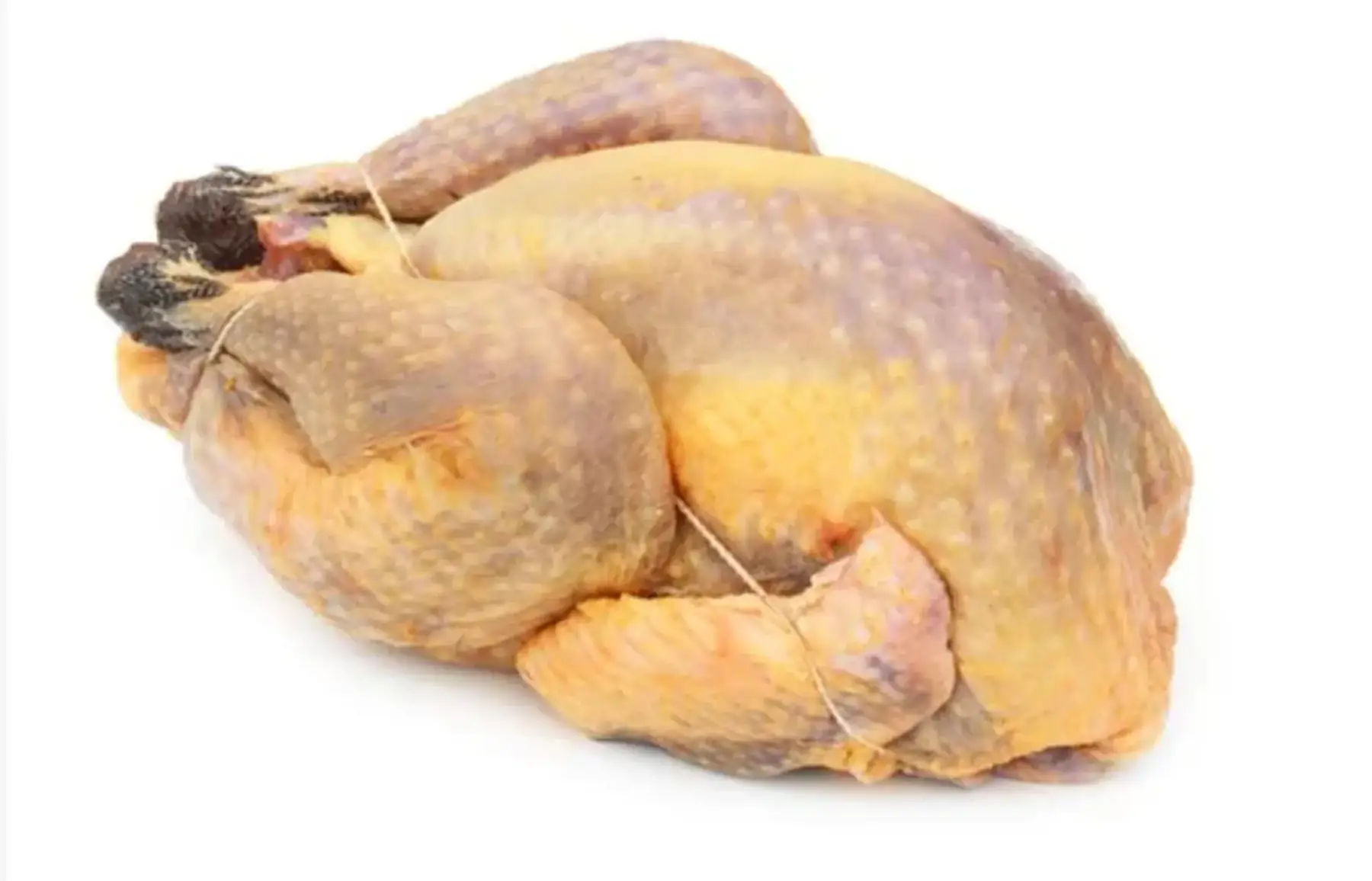 Pintade entière BIO prête à cuire