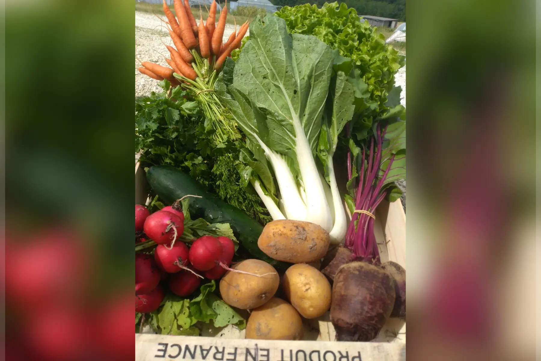 Panier de saison (Petit)