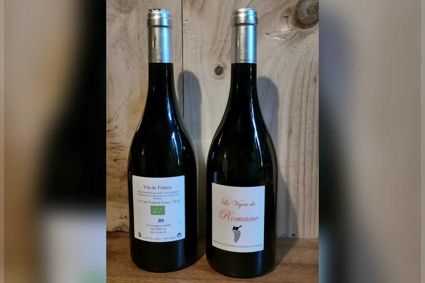 La vigne de Romane 2019