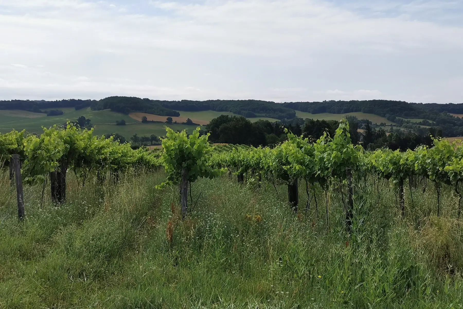 La Ferme de Romane
