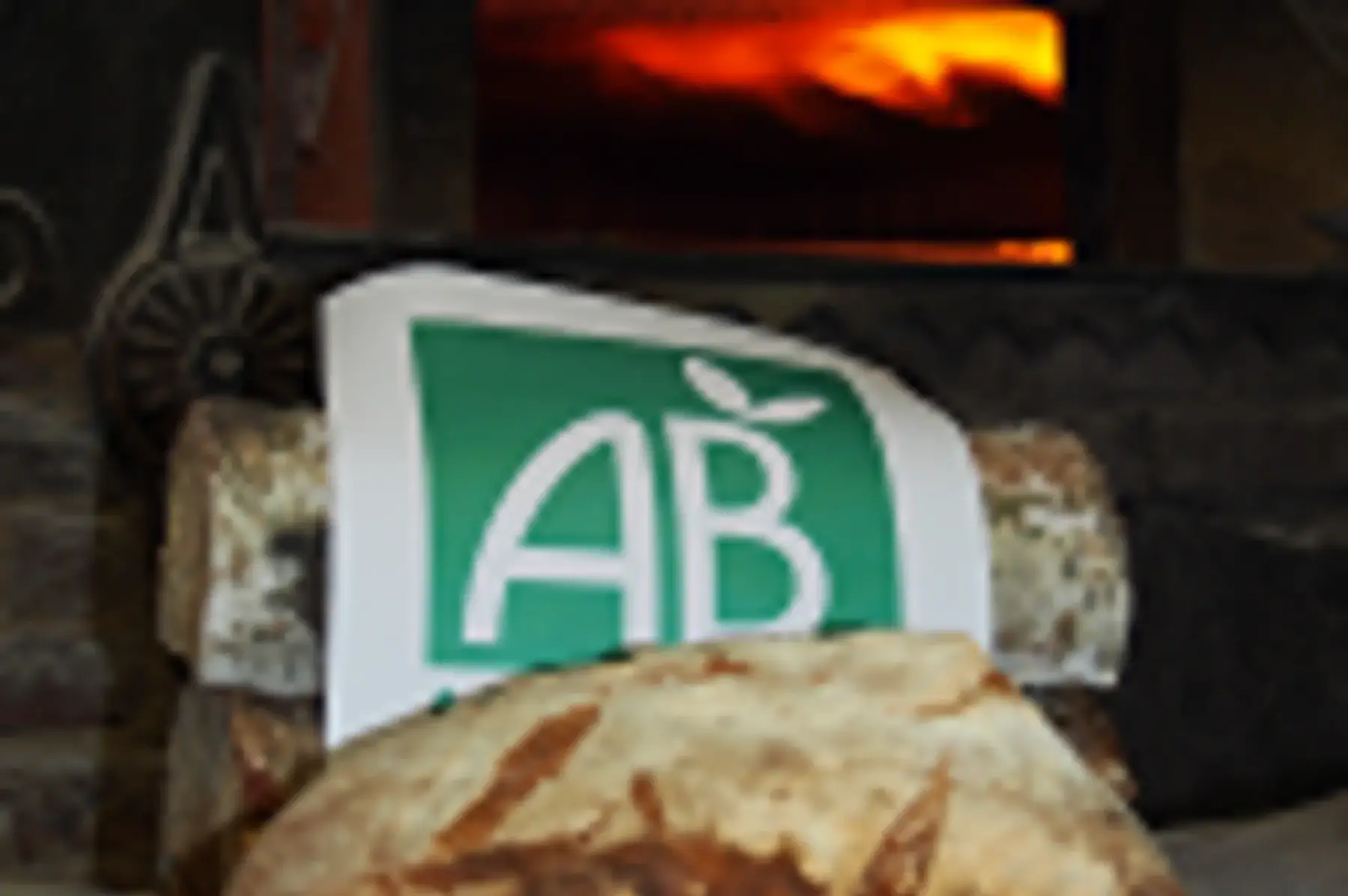 campagne 500g bio coupe