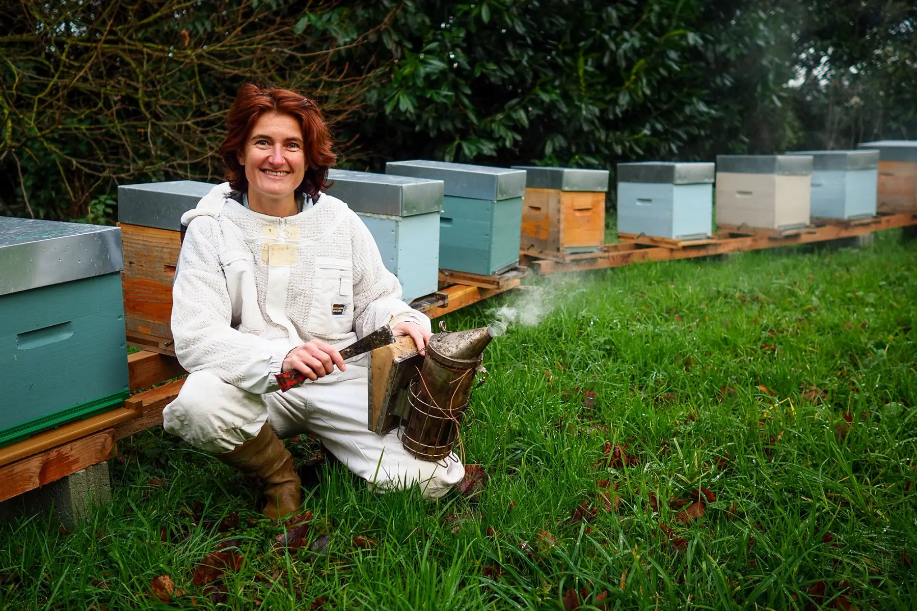 Les Ruchers d'Anne-Sophie