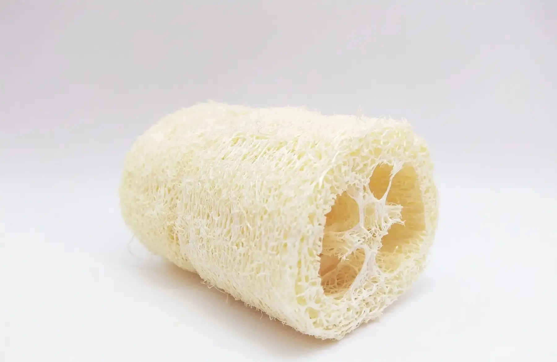 Eponge loofah