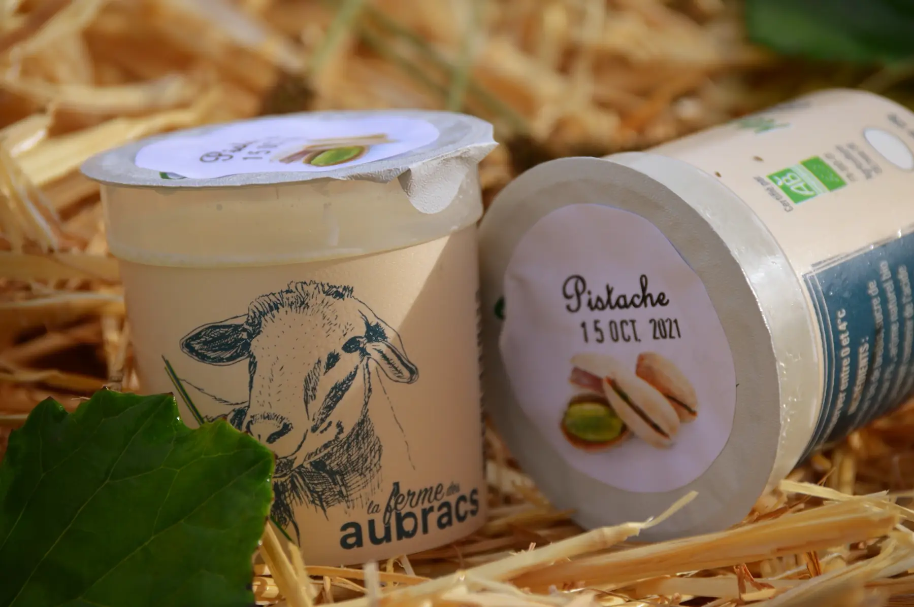 Yaourt brebis pistache x 2