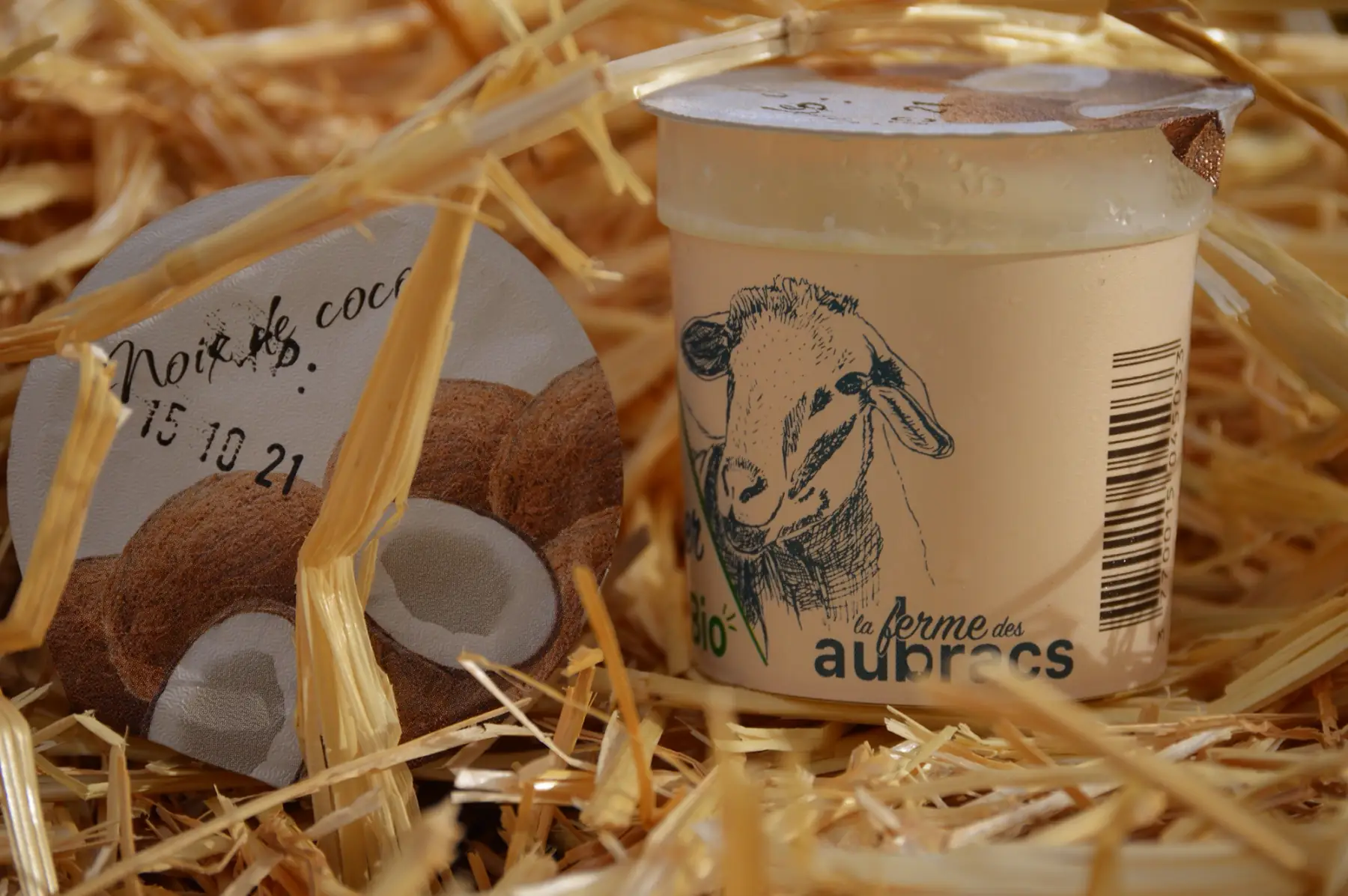 Yaourt brebis noix de coco x 2