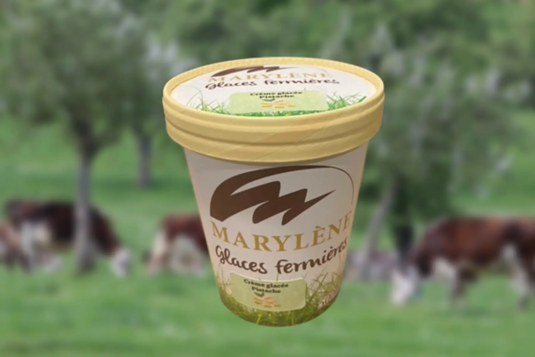 Crème glacée Pistache 500ml