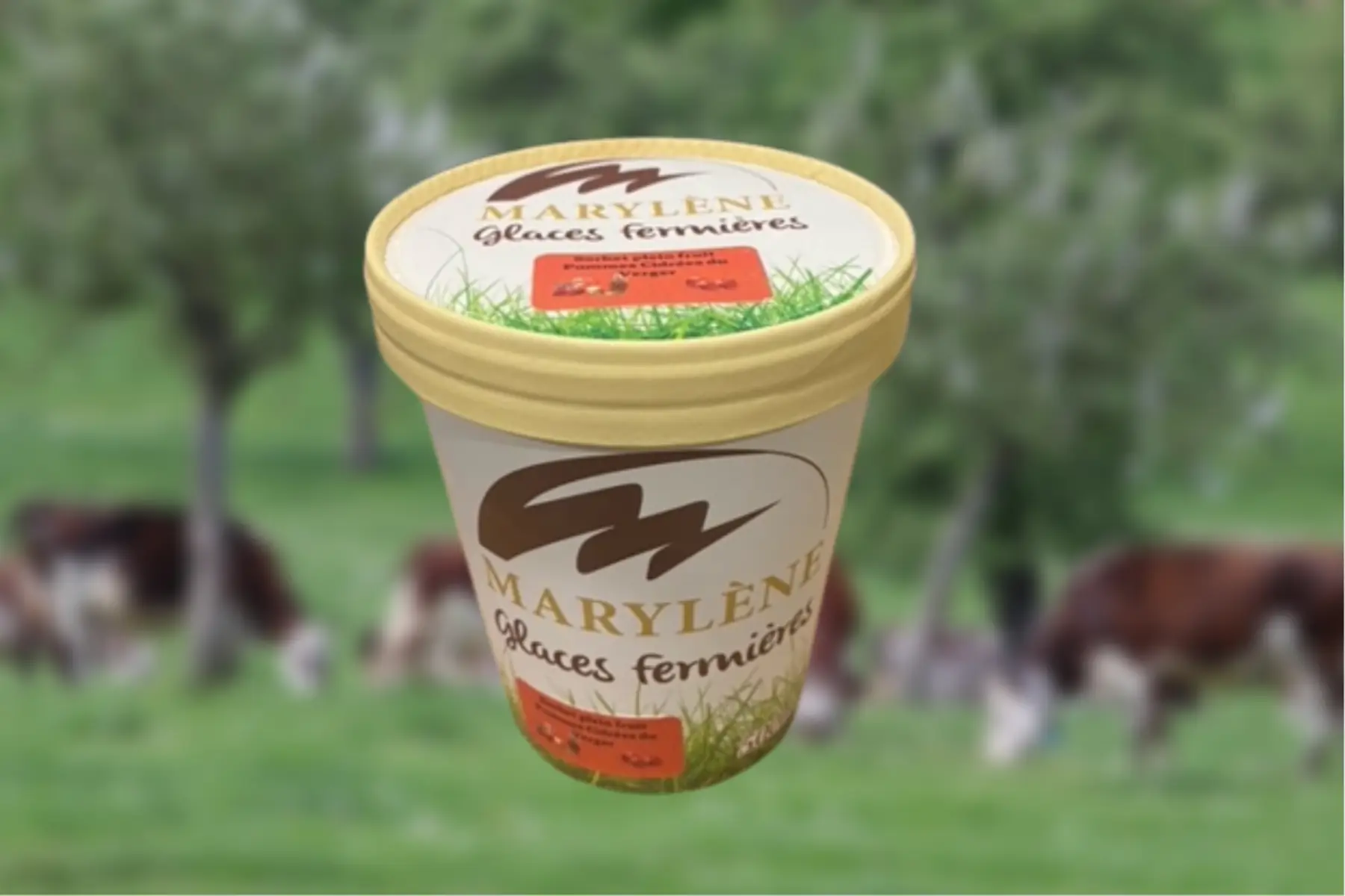 Sorbet Pomme cidrée 500ml