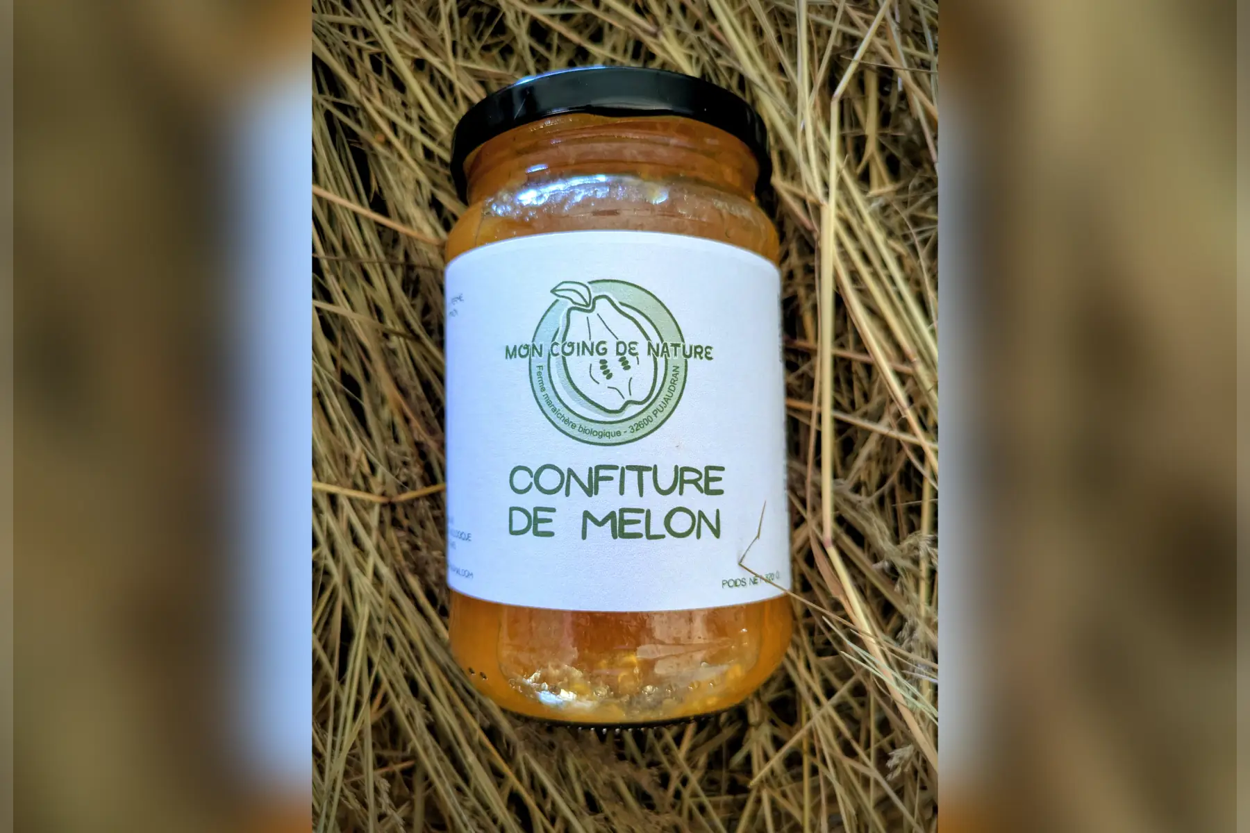 Délice de Melon