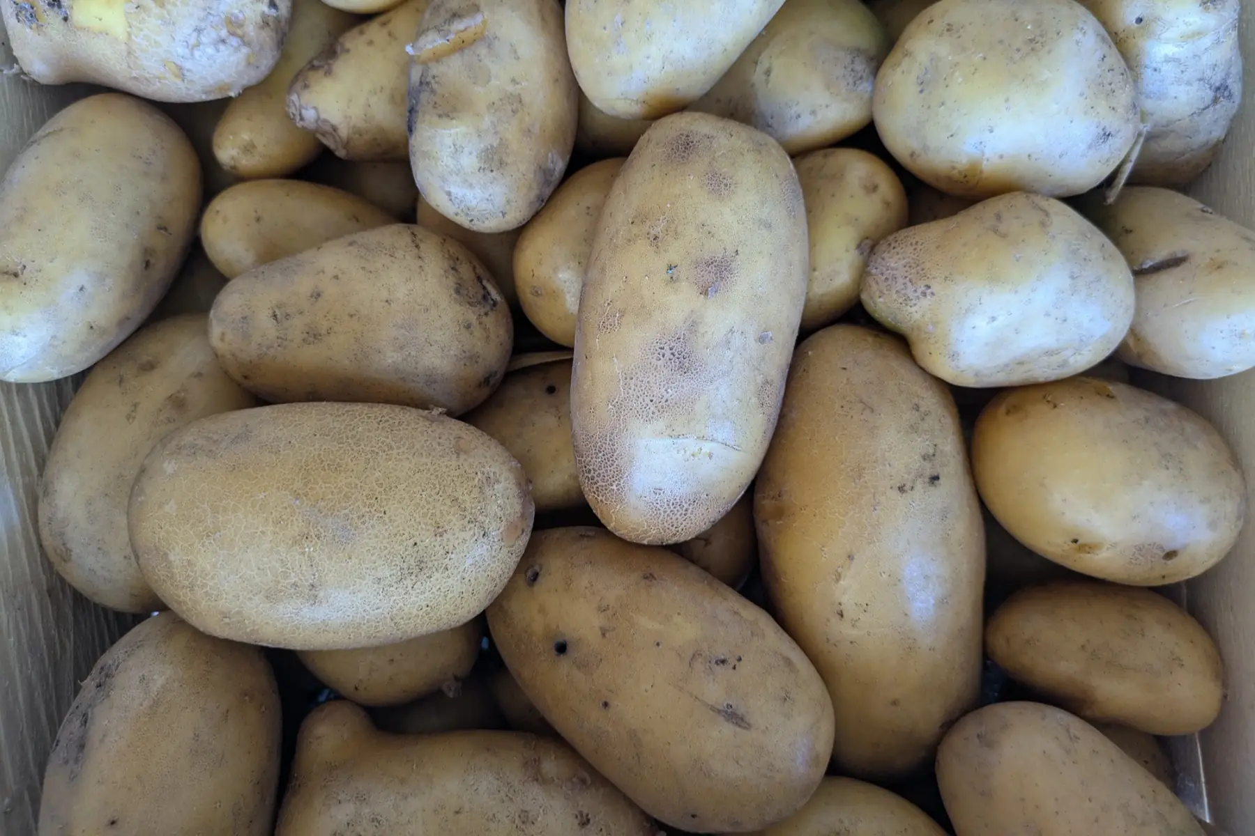 Pommes de Terre Jaunes