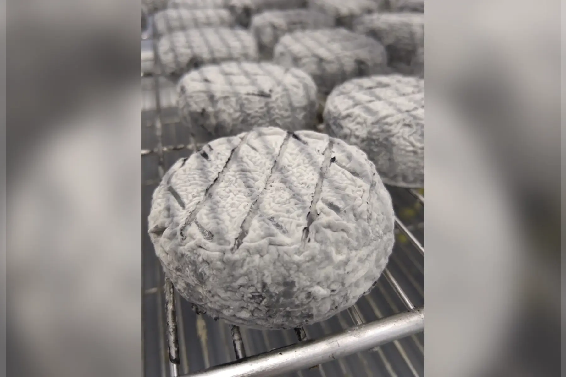 Pavé Bélinois cendré