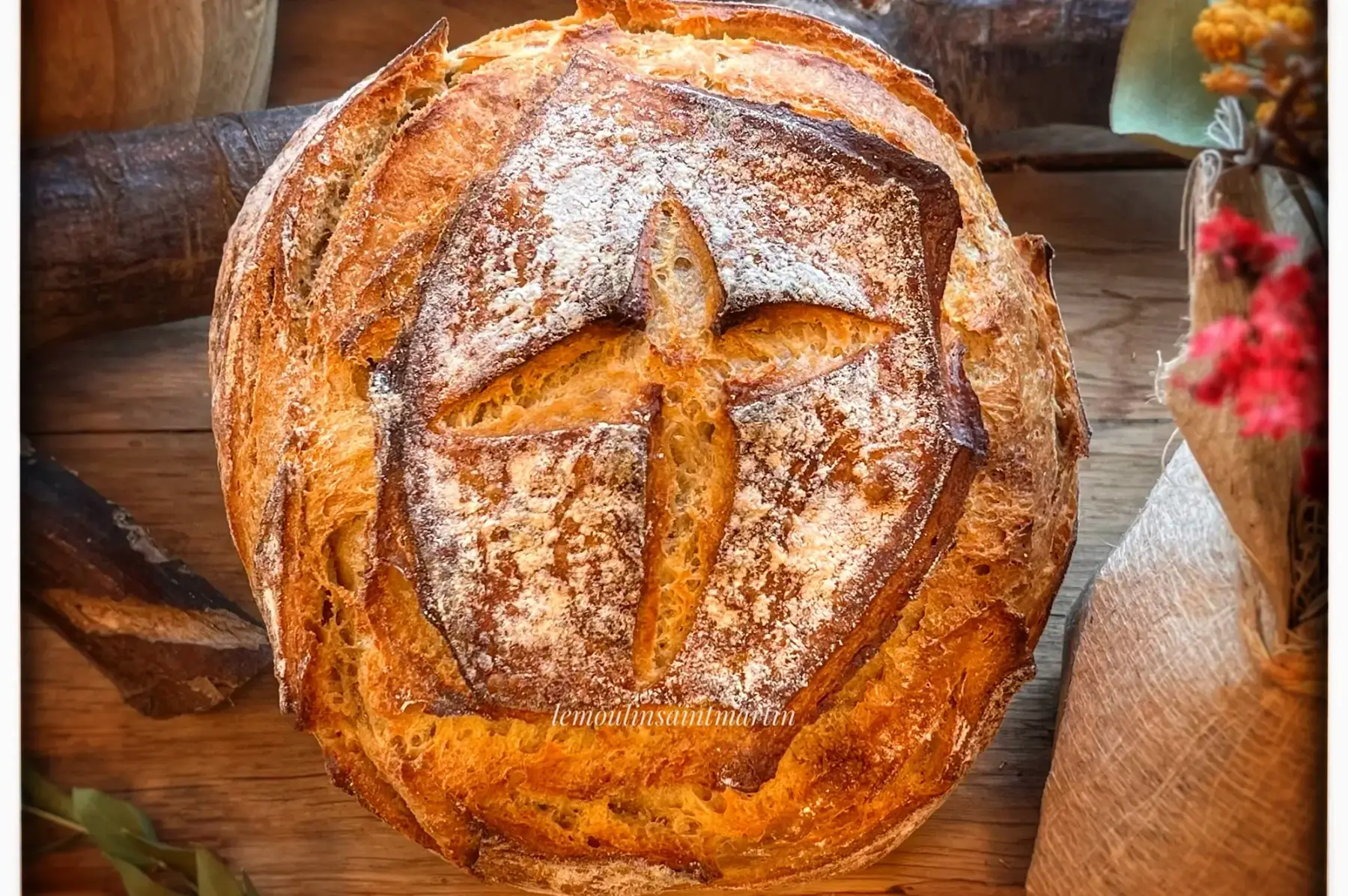 Blés de Population biologique ~500g