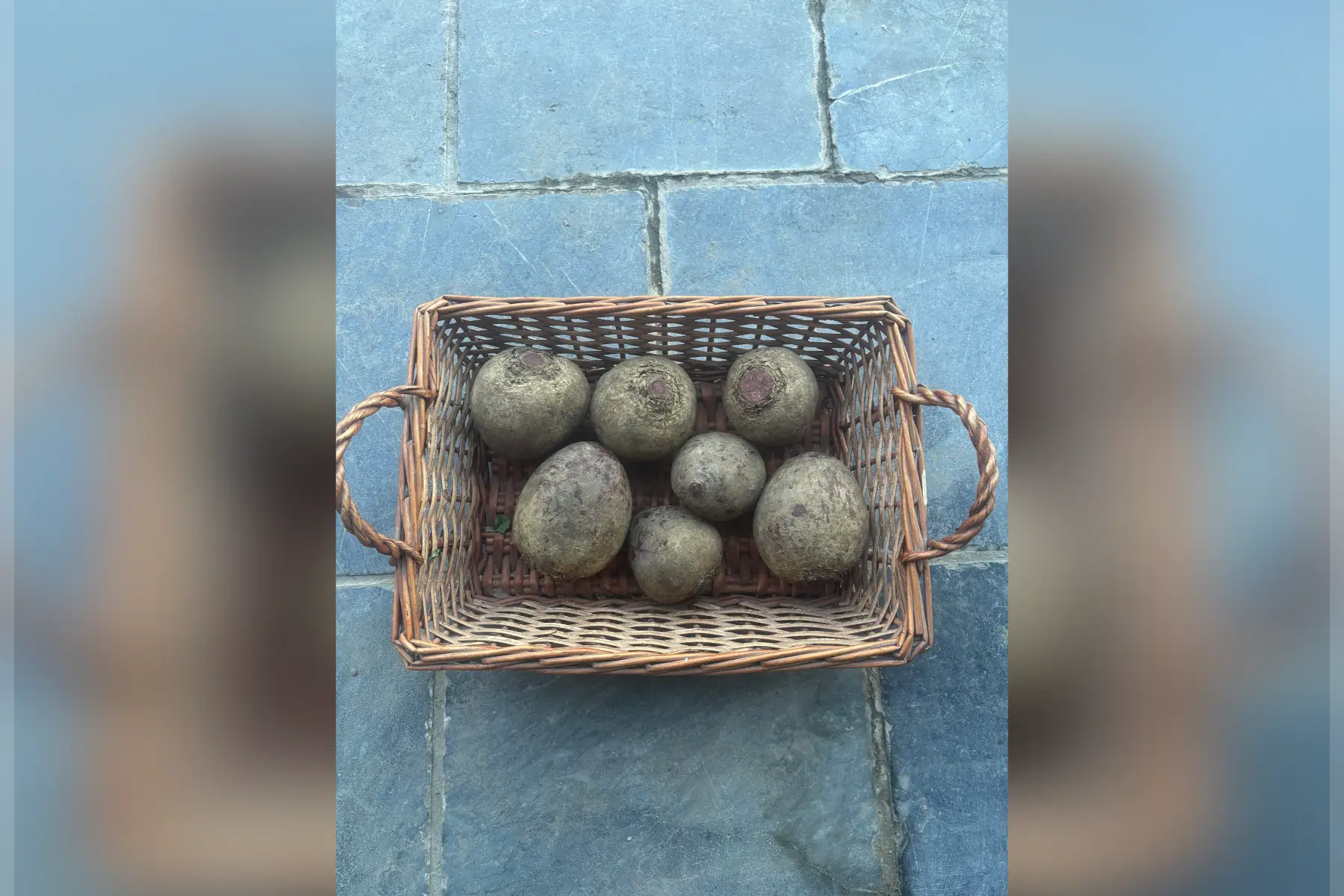 betteraves rouges / 500 grs