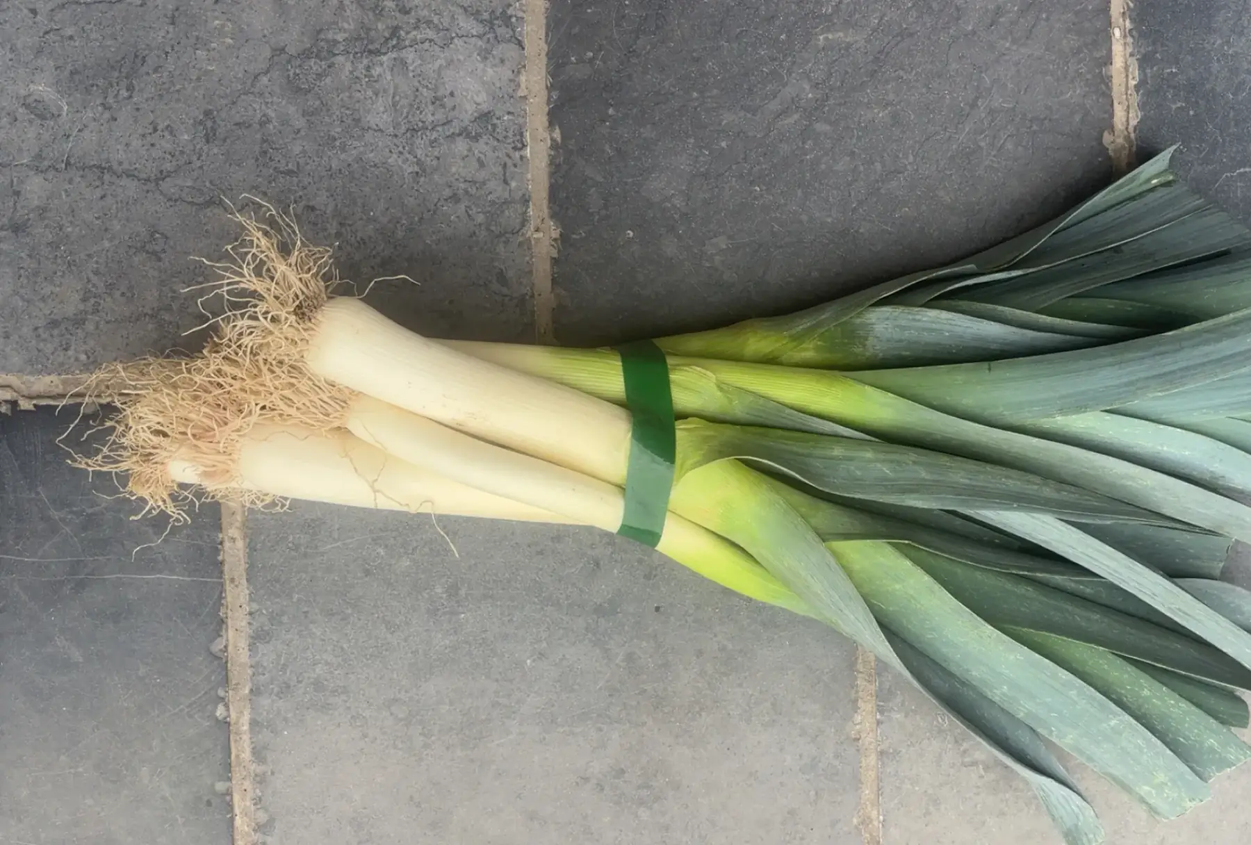 botte de poireaux