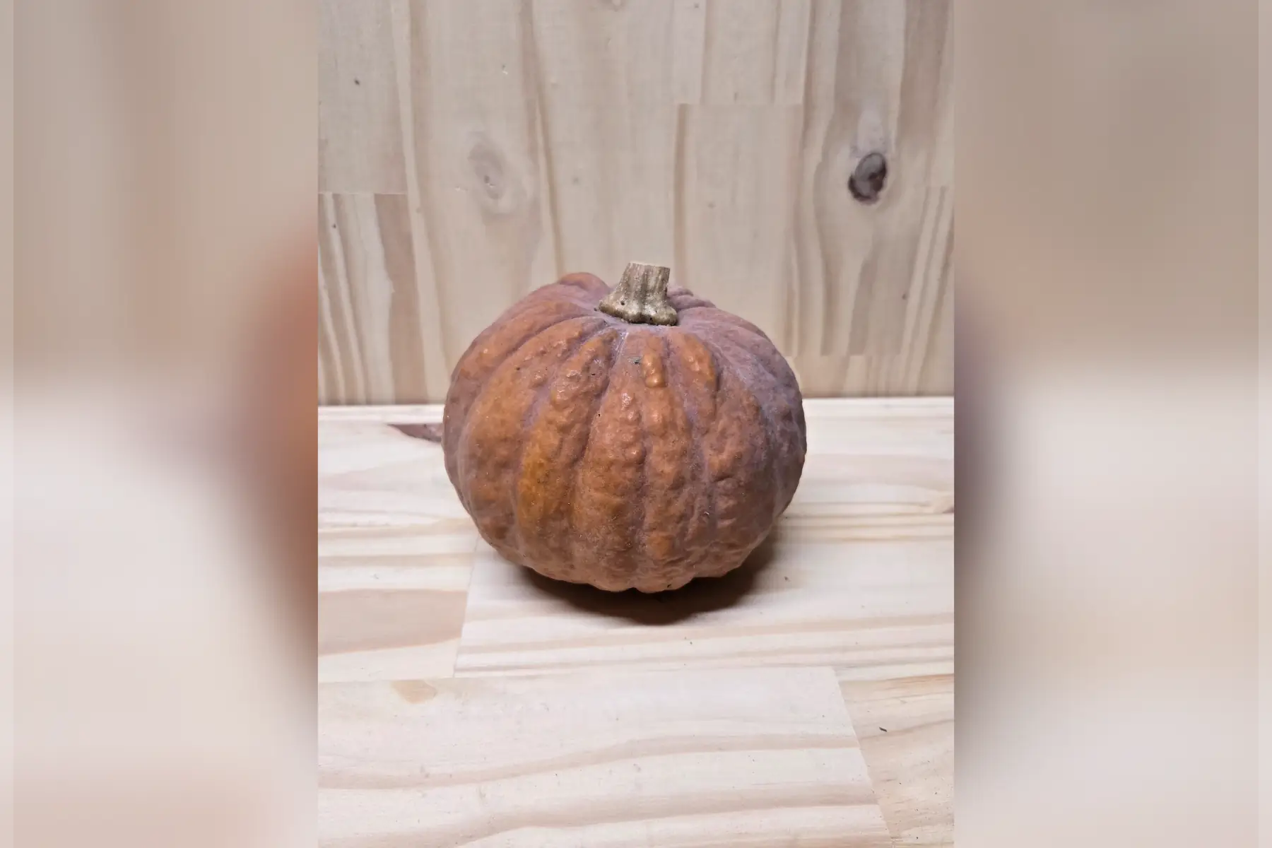 Courge Futsu Black