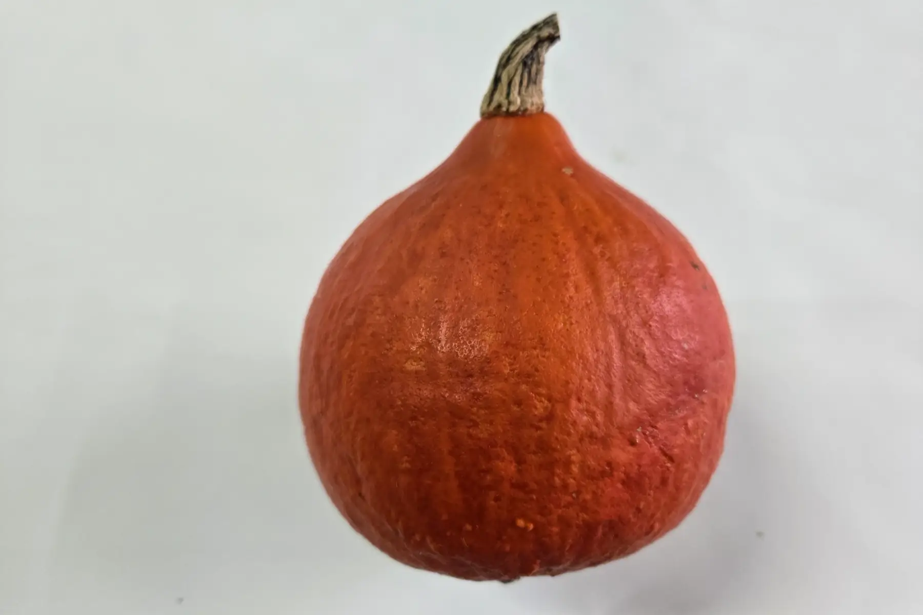 courges potimarron rouge