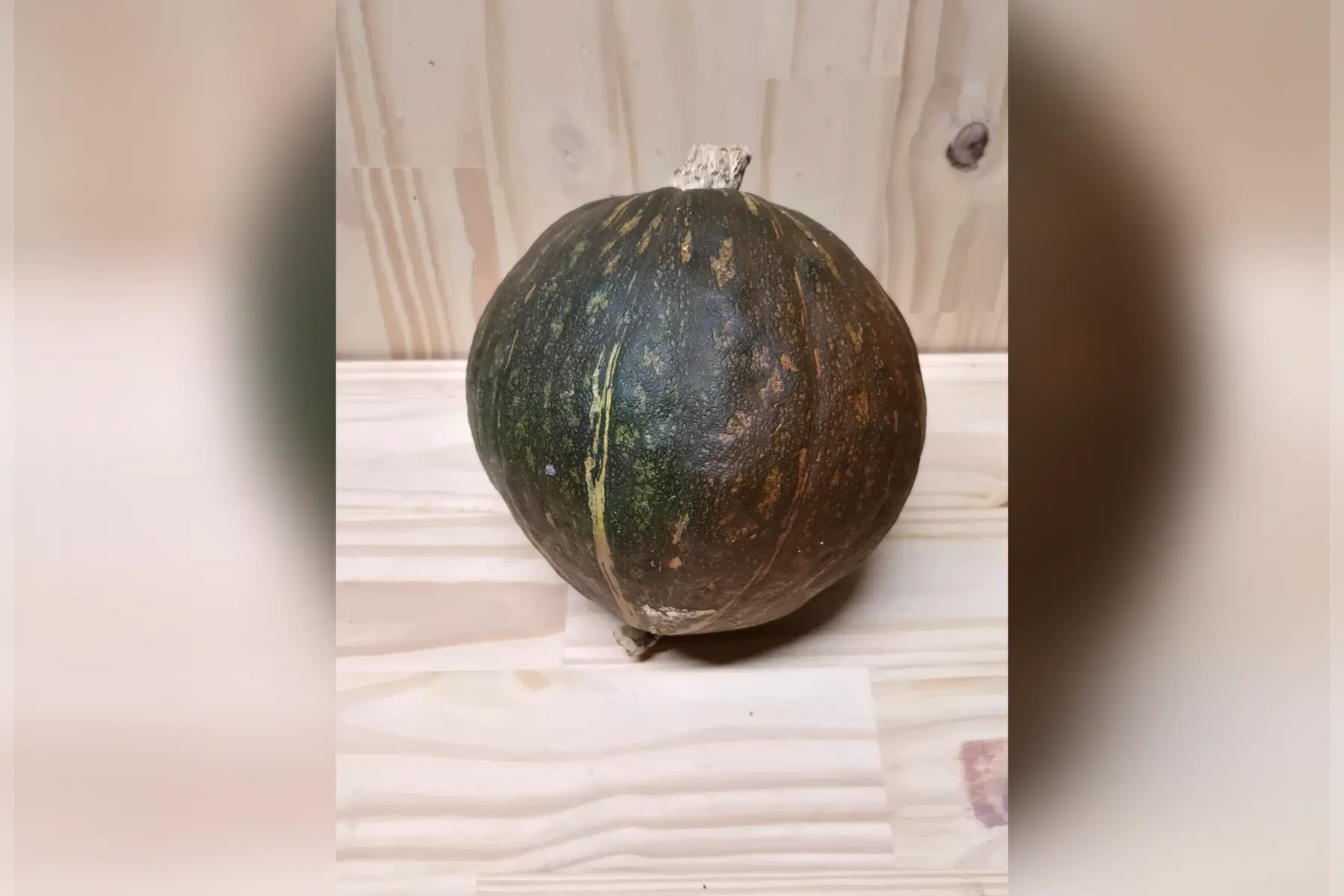 Courge kabocha