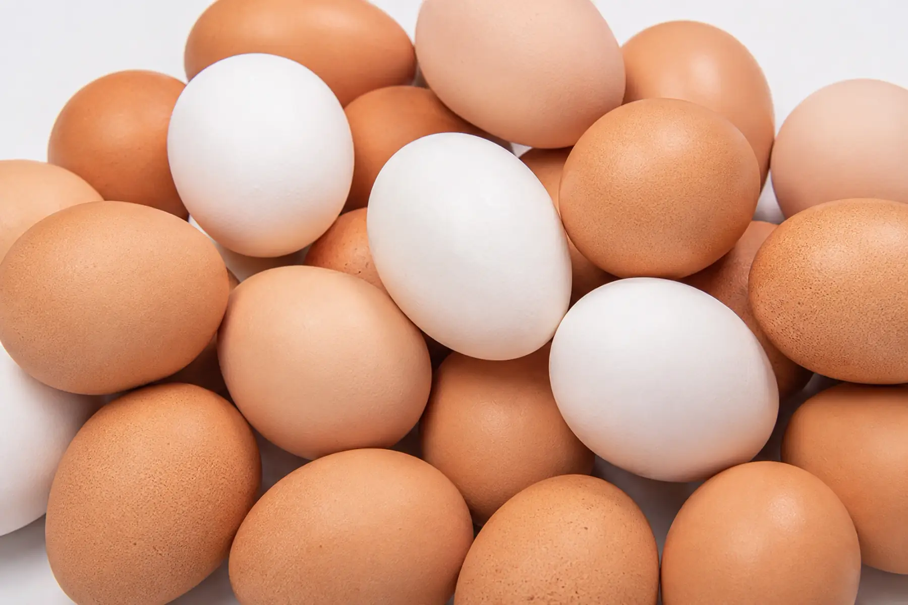 Les oeufs du Nanteux