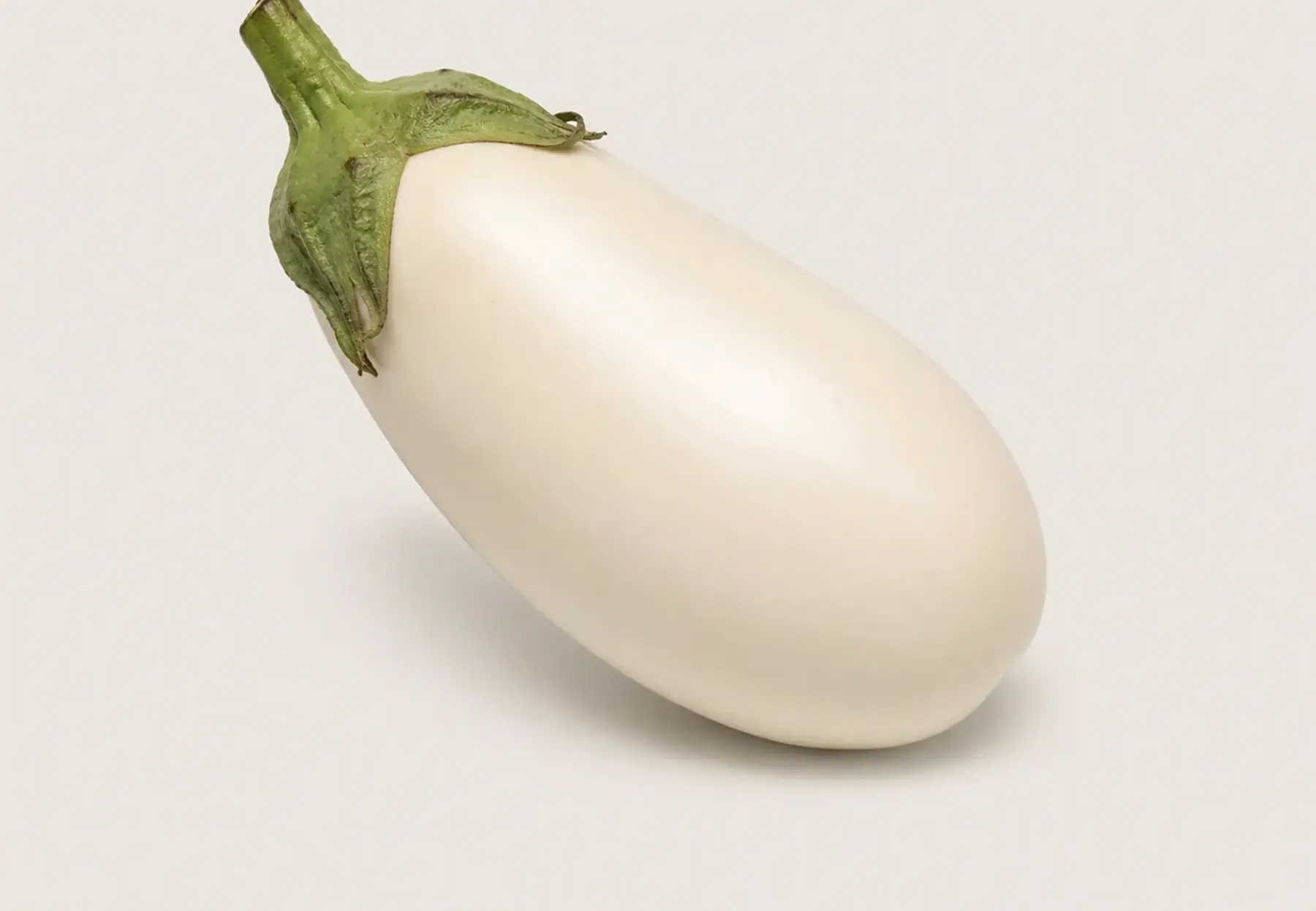 Aubergine Blanche Clara