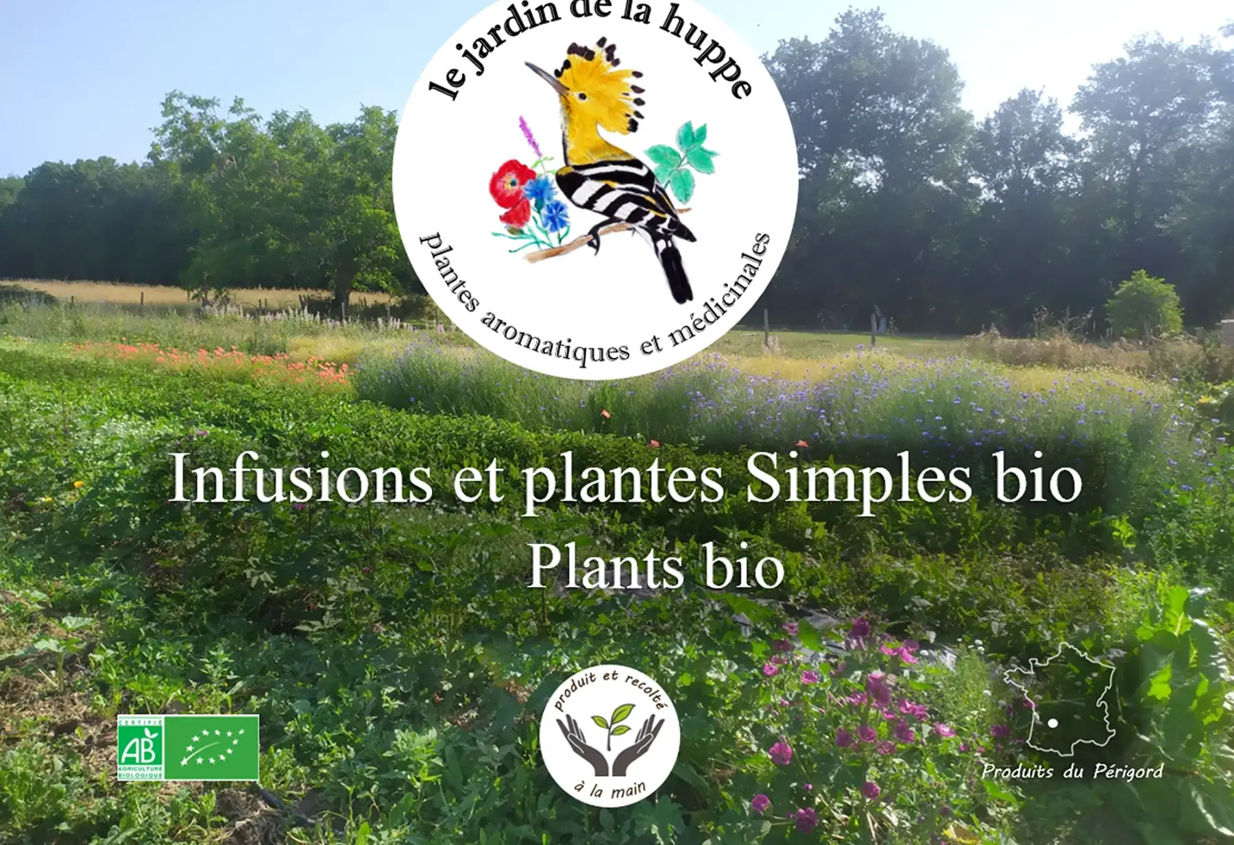 LE JARDIN DE LA HUPPE