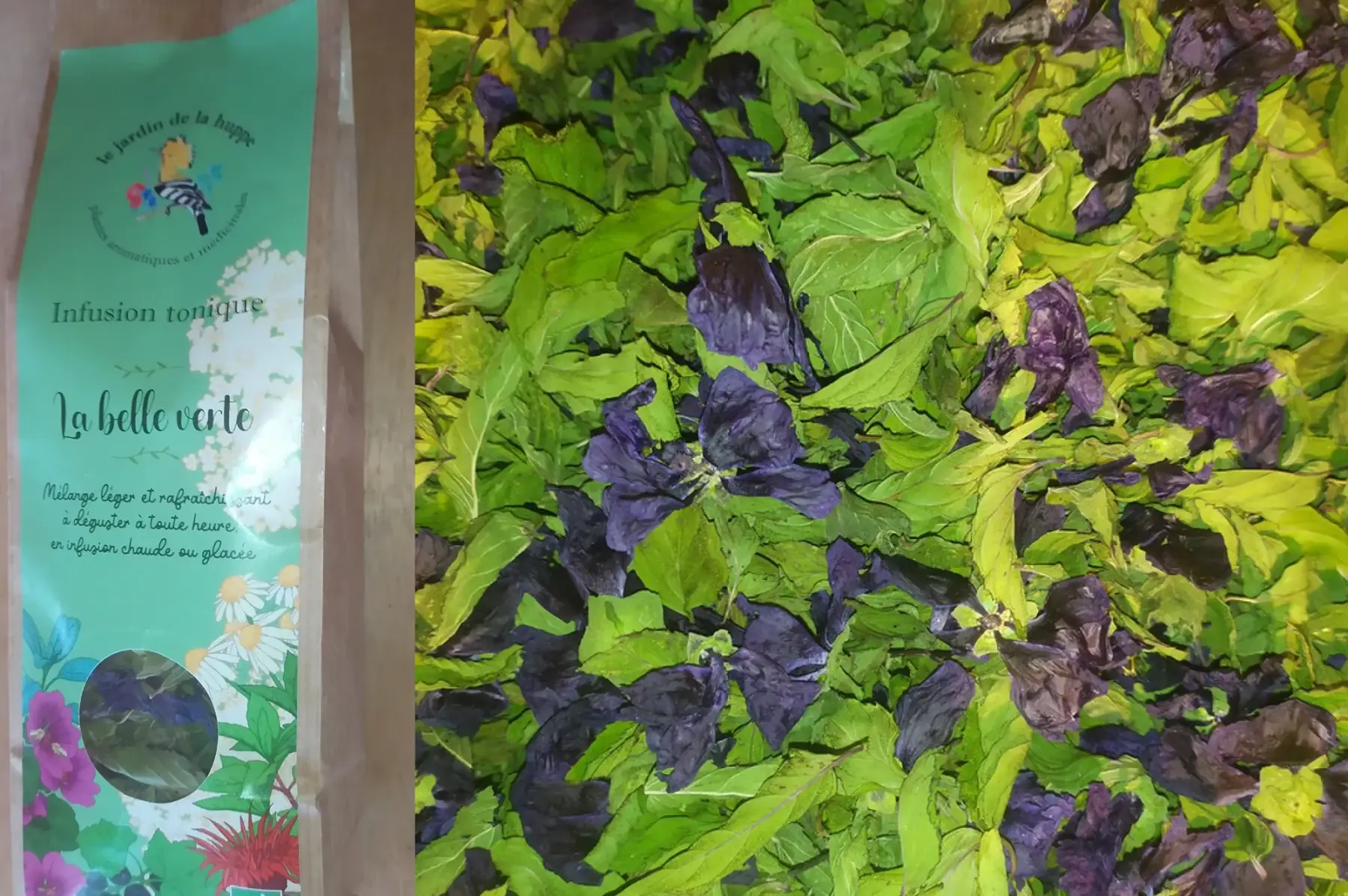 Infusion tonique La belle verte