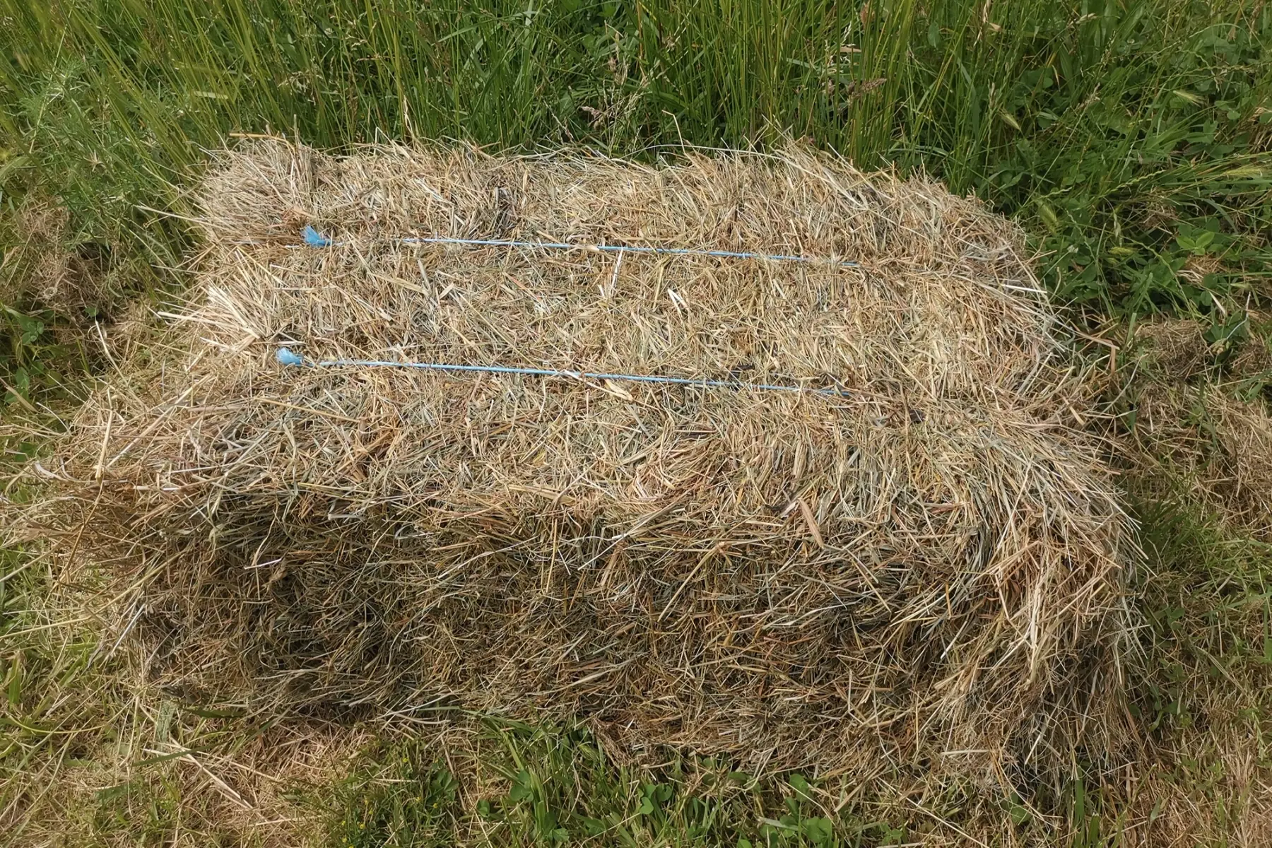 Foin (hors de la ferme)