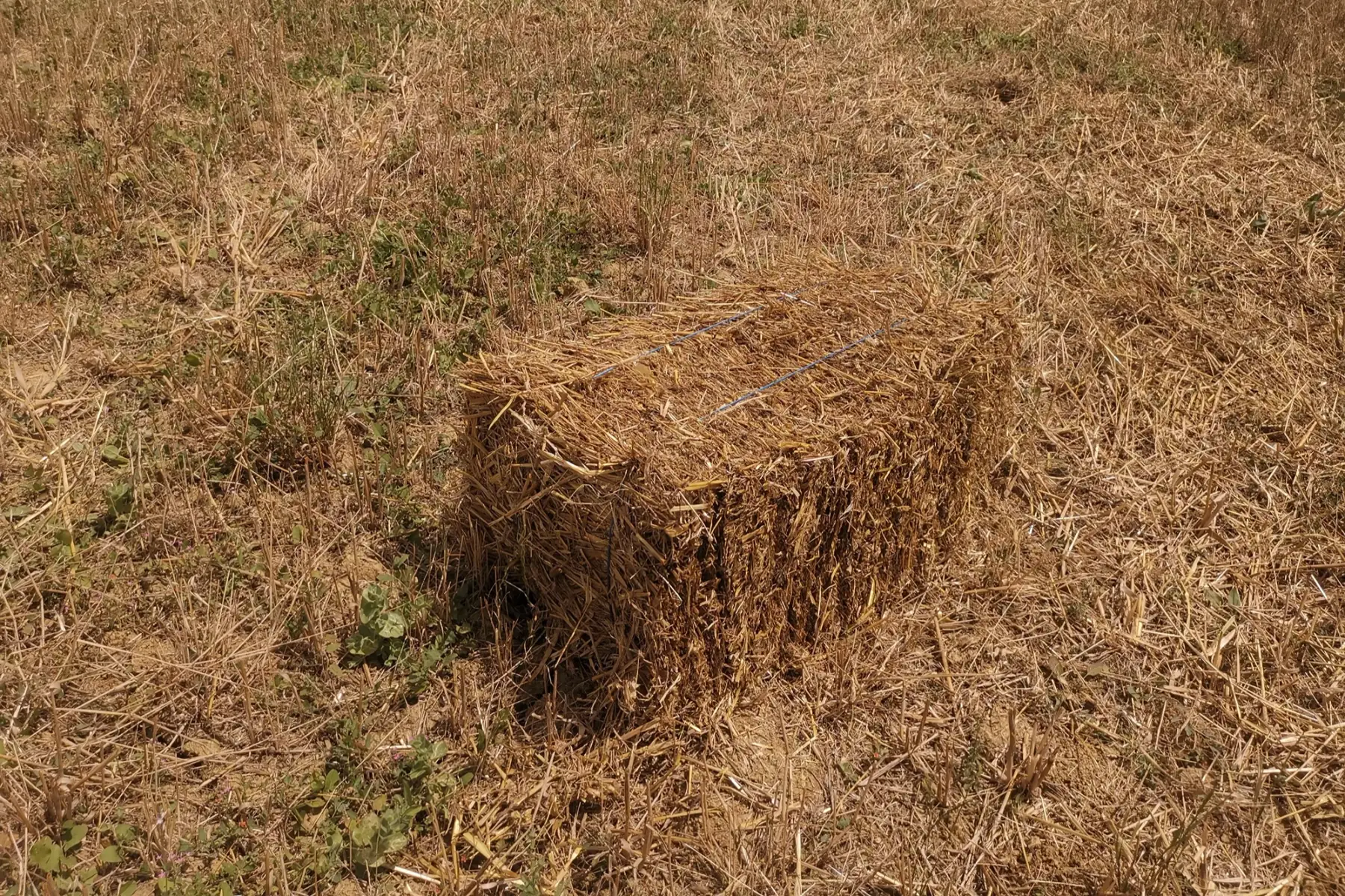 Paille (hors de la ferme)