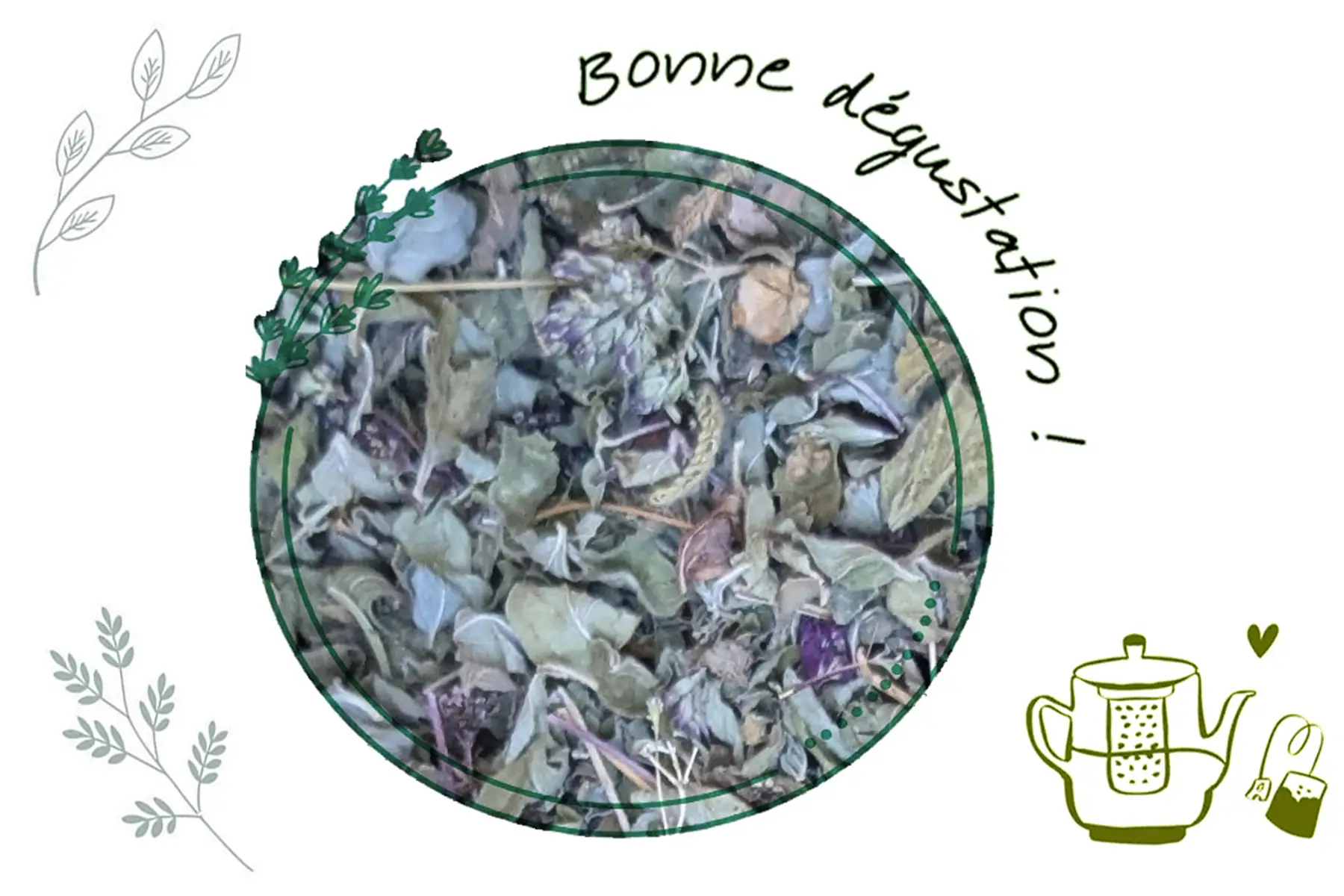 Infusion et/ou aromate Origan VRAC