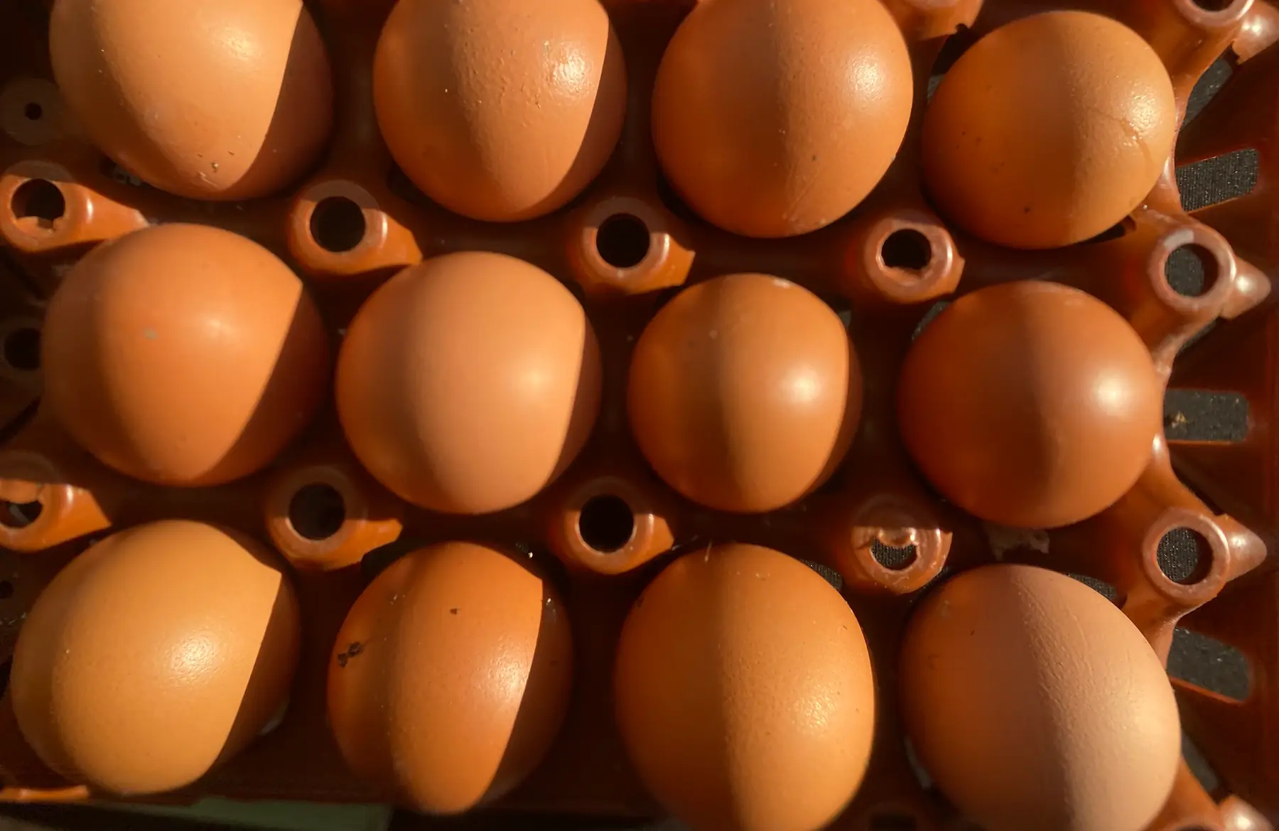 6 oeufs Bio Ponte du Jour